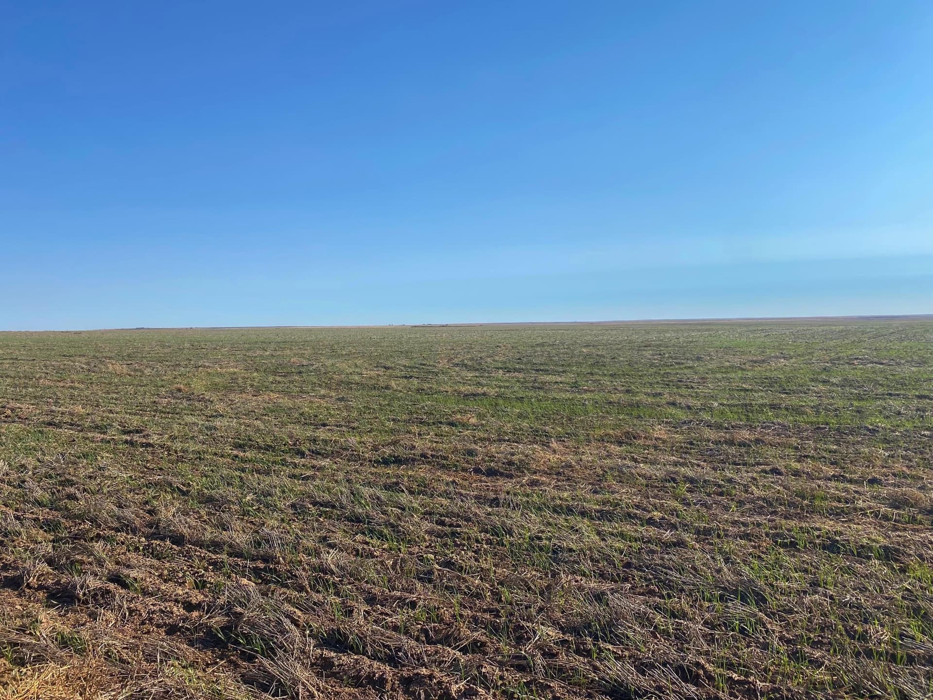 992 acres in Lipscomb County