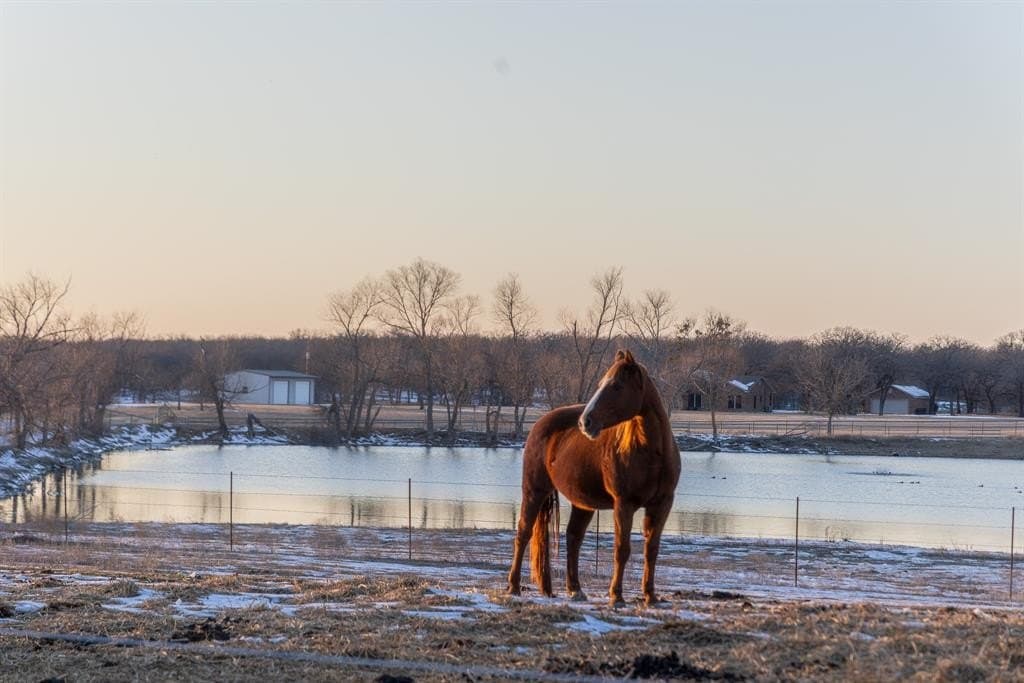 31 acres in Wise County