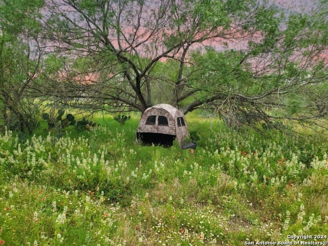 10.03 acres in Frio County gallery image 3