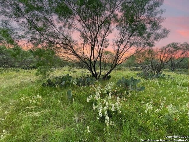 10.03 acres in Frio County gallery image 2