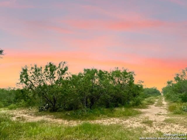 10.03 acres in Frio County gallery image 4
