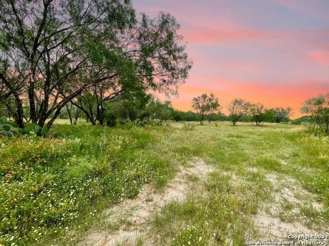 10.03 acres in Frio County featured view