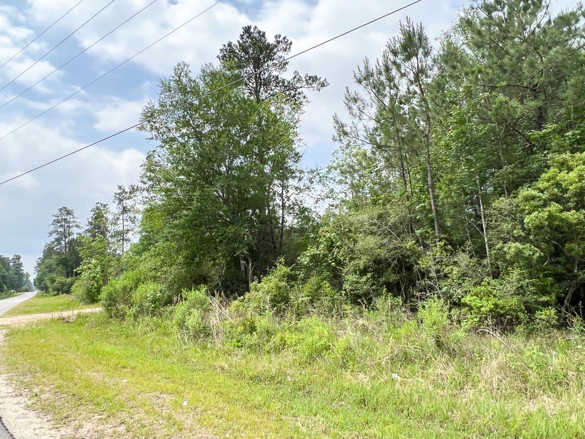 30 acres in Hardin County - photo 5