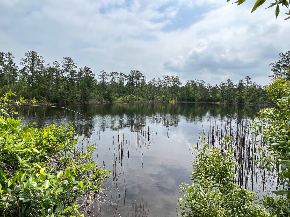 30 acres in Hardin County - photo 2