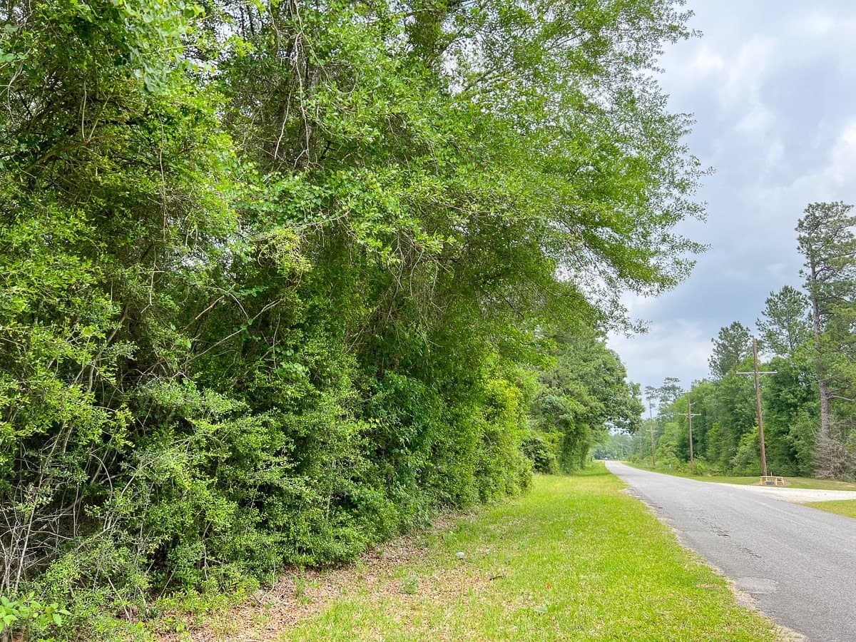 30 acres in Hardin County - photo 7