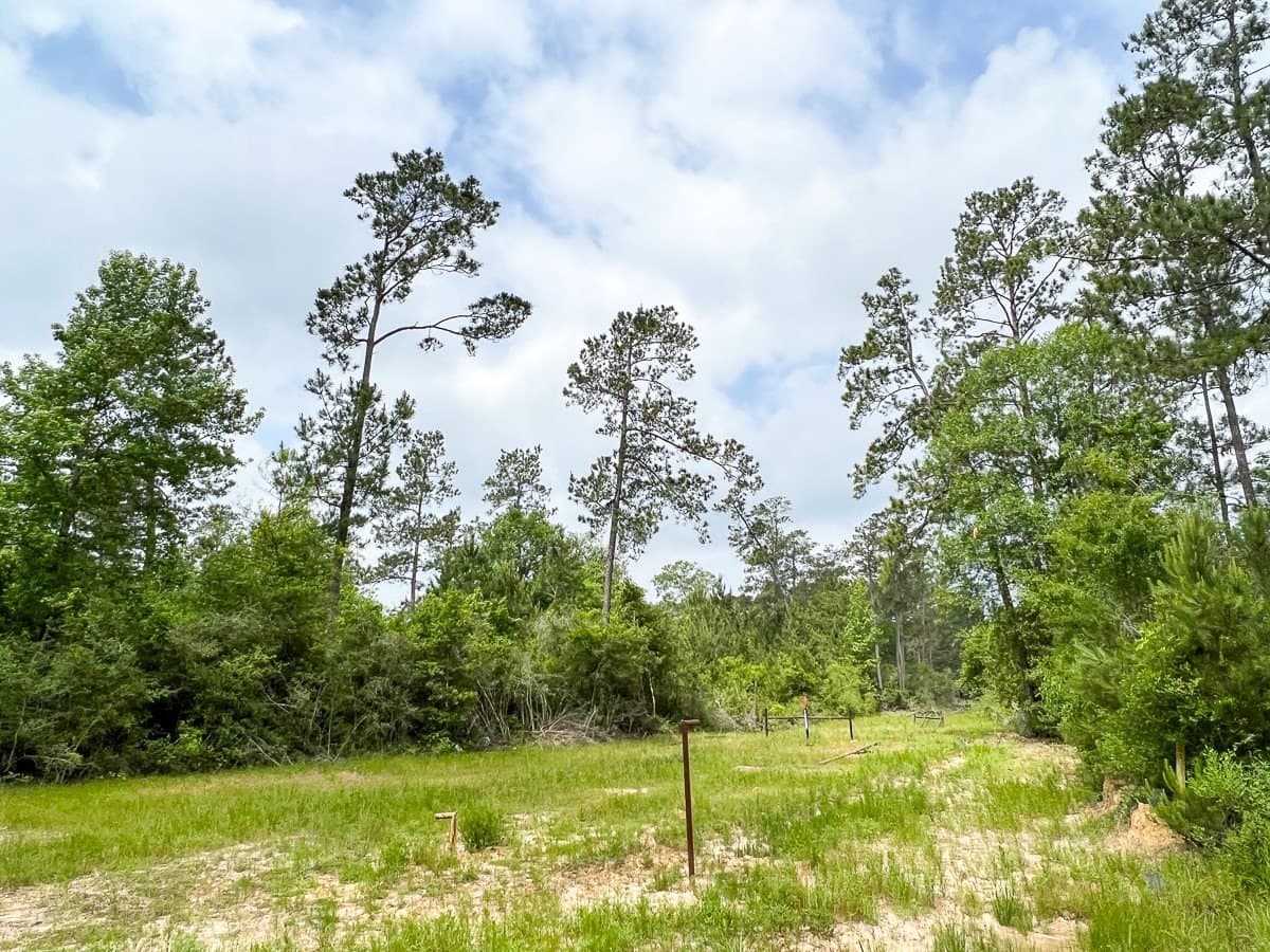 30 acres in Hardin County - photo 6