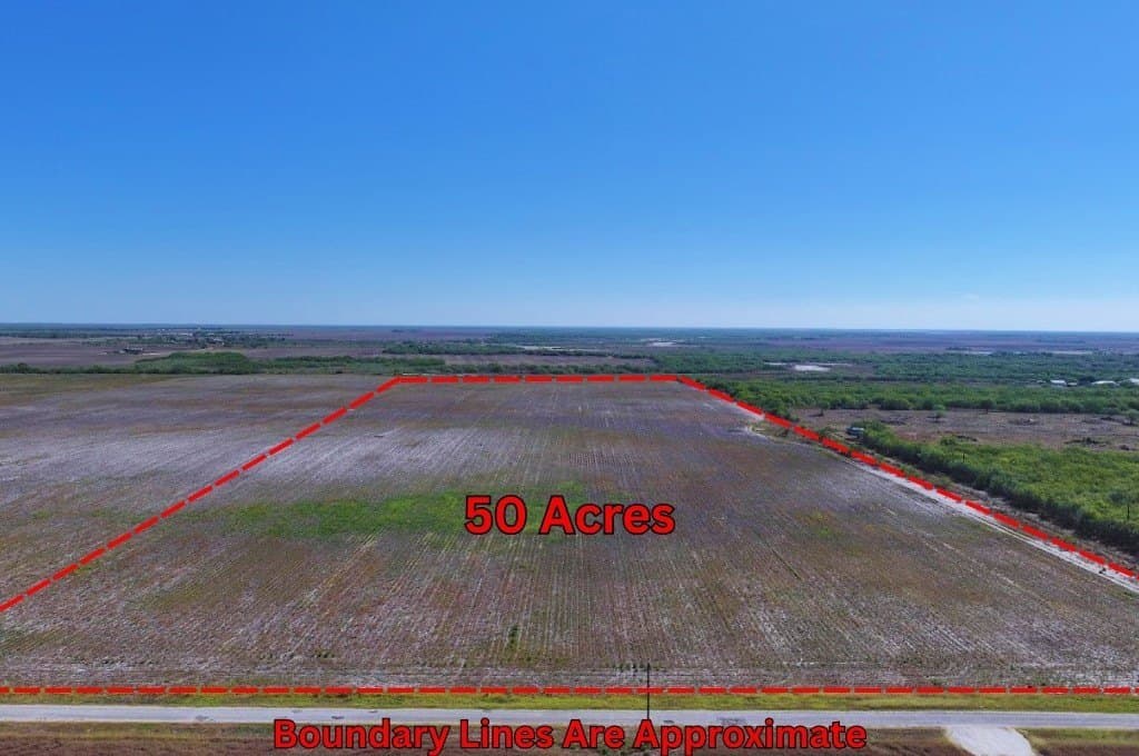 50 acres in Kleberg County gallery image 2