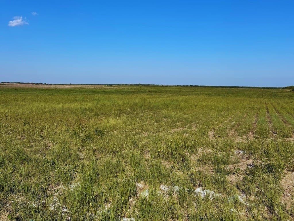 50 acres in Kleberg County - photo 9