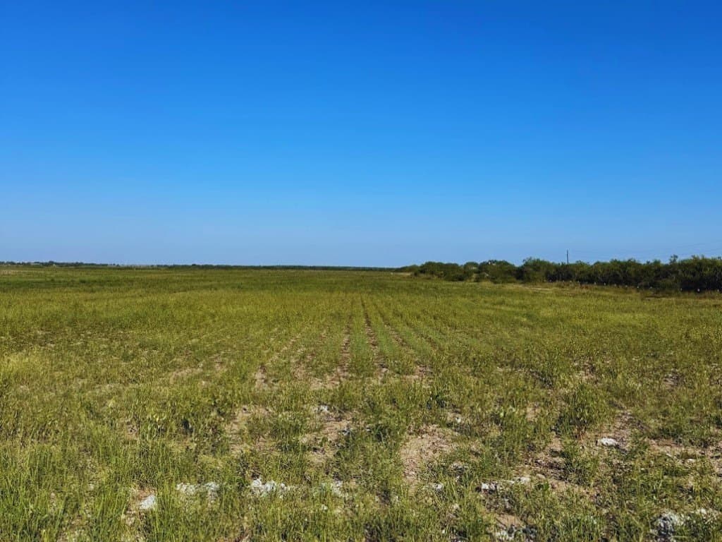50 acres in Kleberg County - photo 7