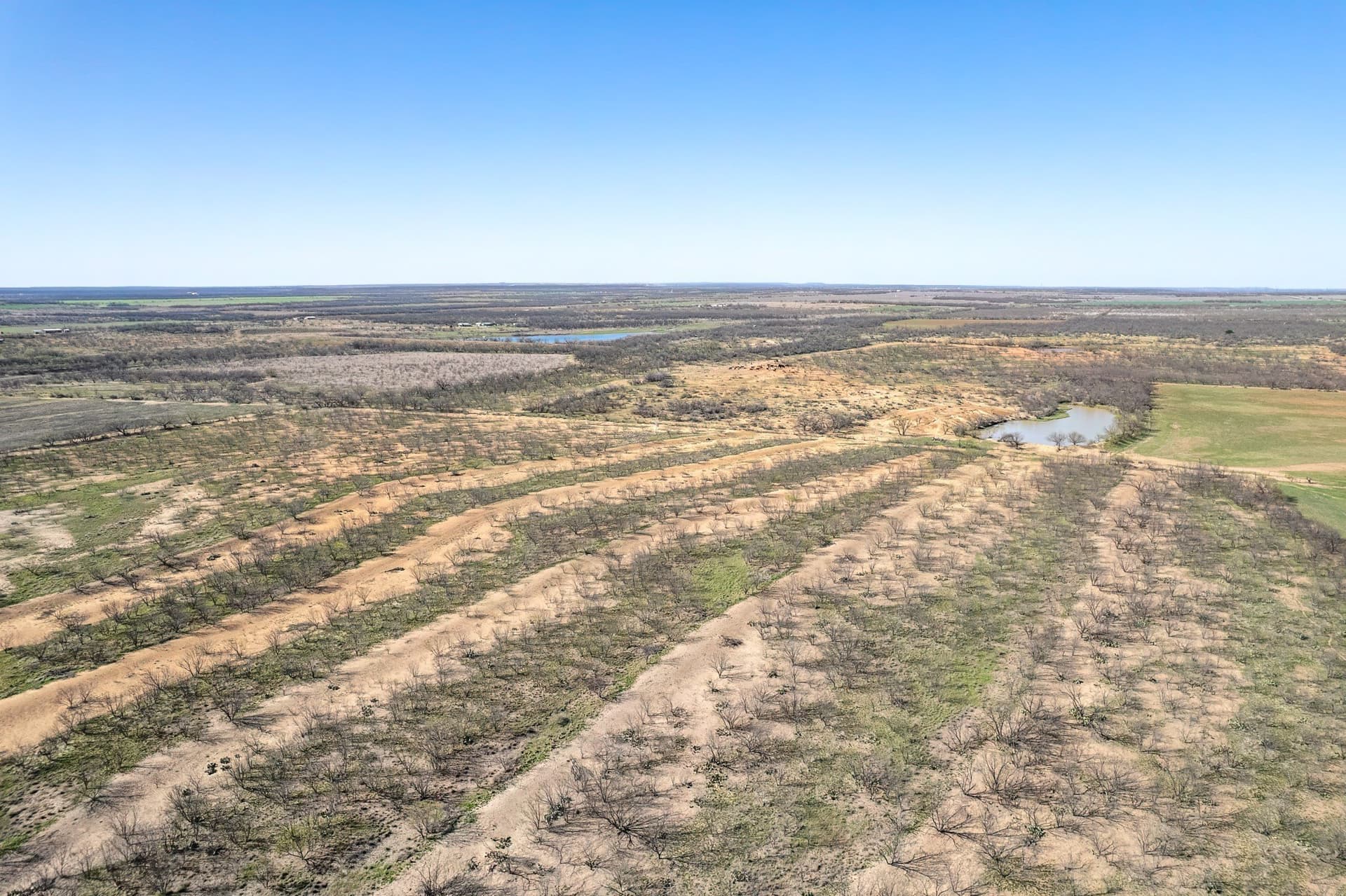162.5 acres in Coleman County - photo 24