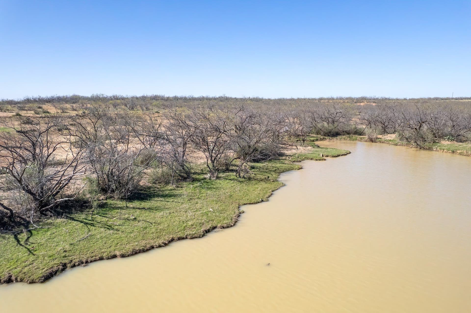 162.5 acres in Coleman County - photo 5