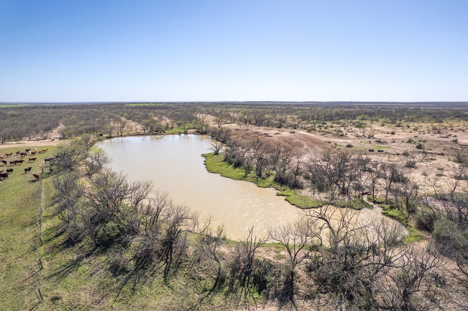 162.5 acres in Coleman County - photo 12