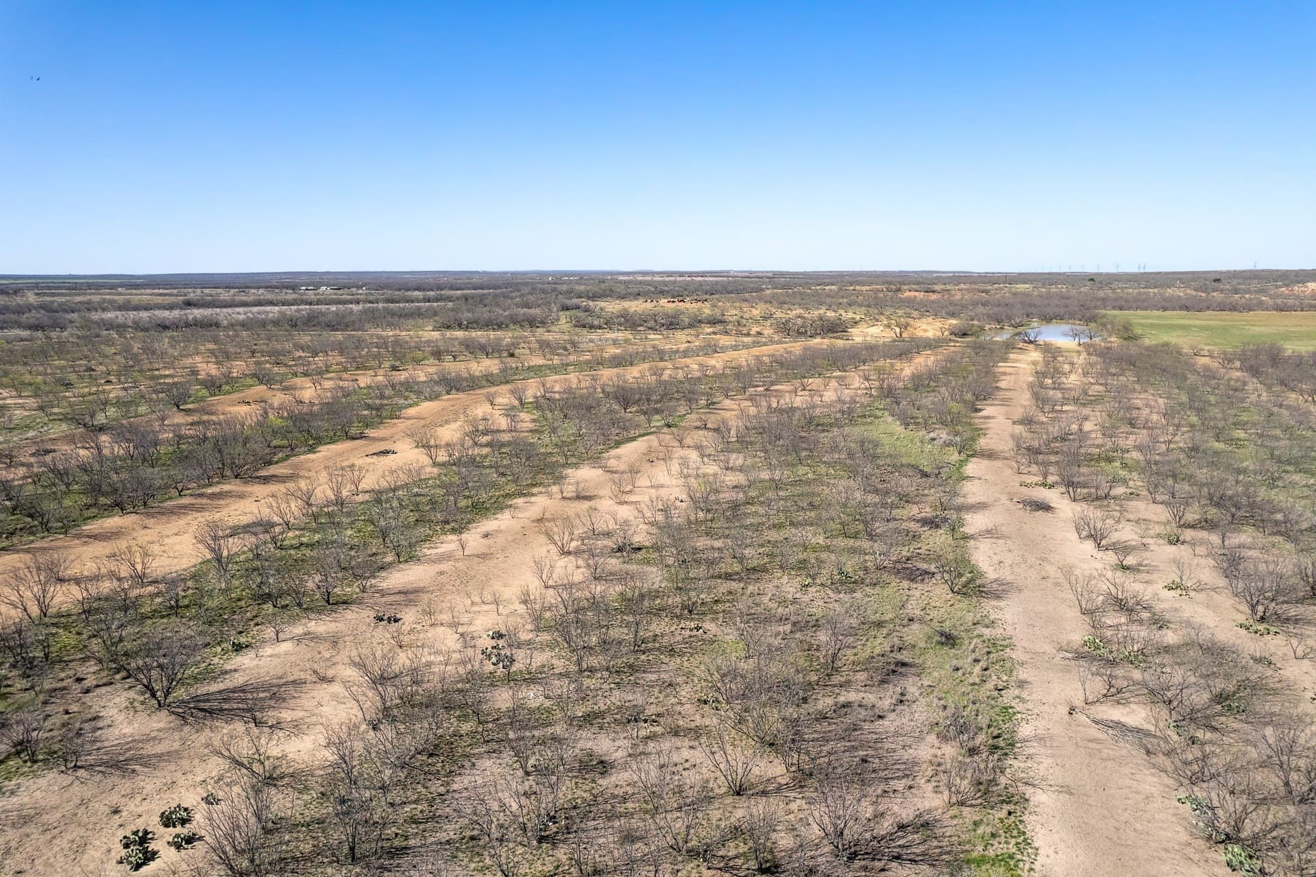 162.5 acres in Coleman County - photo 26