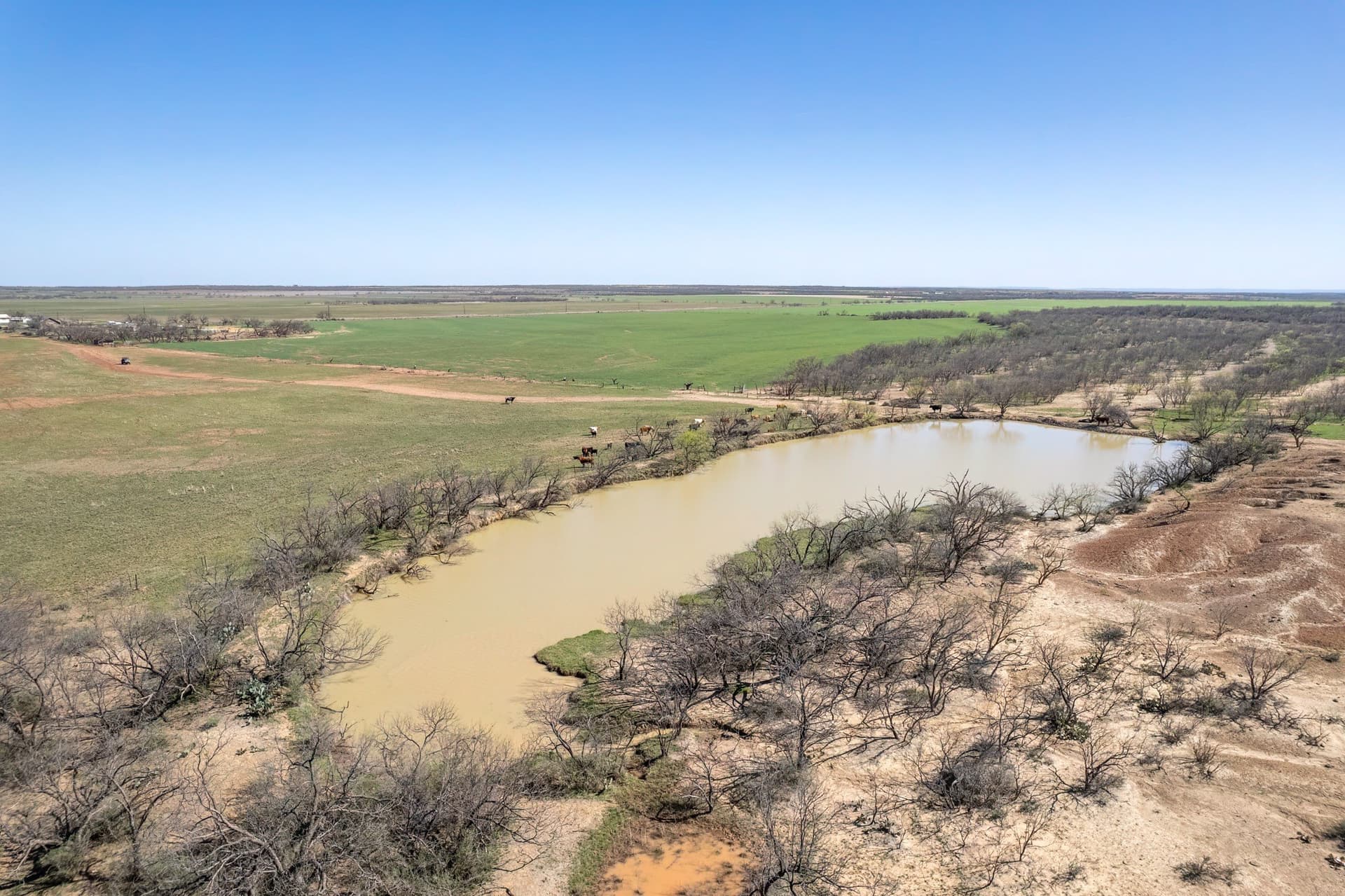 162.5 acres in Coleman County - photo 11