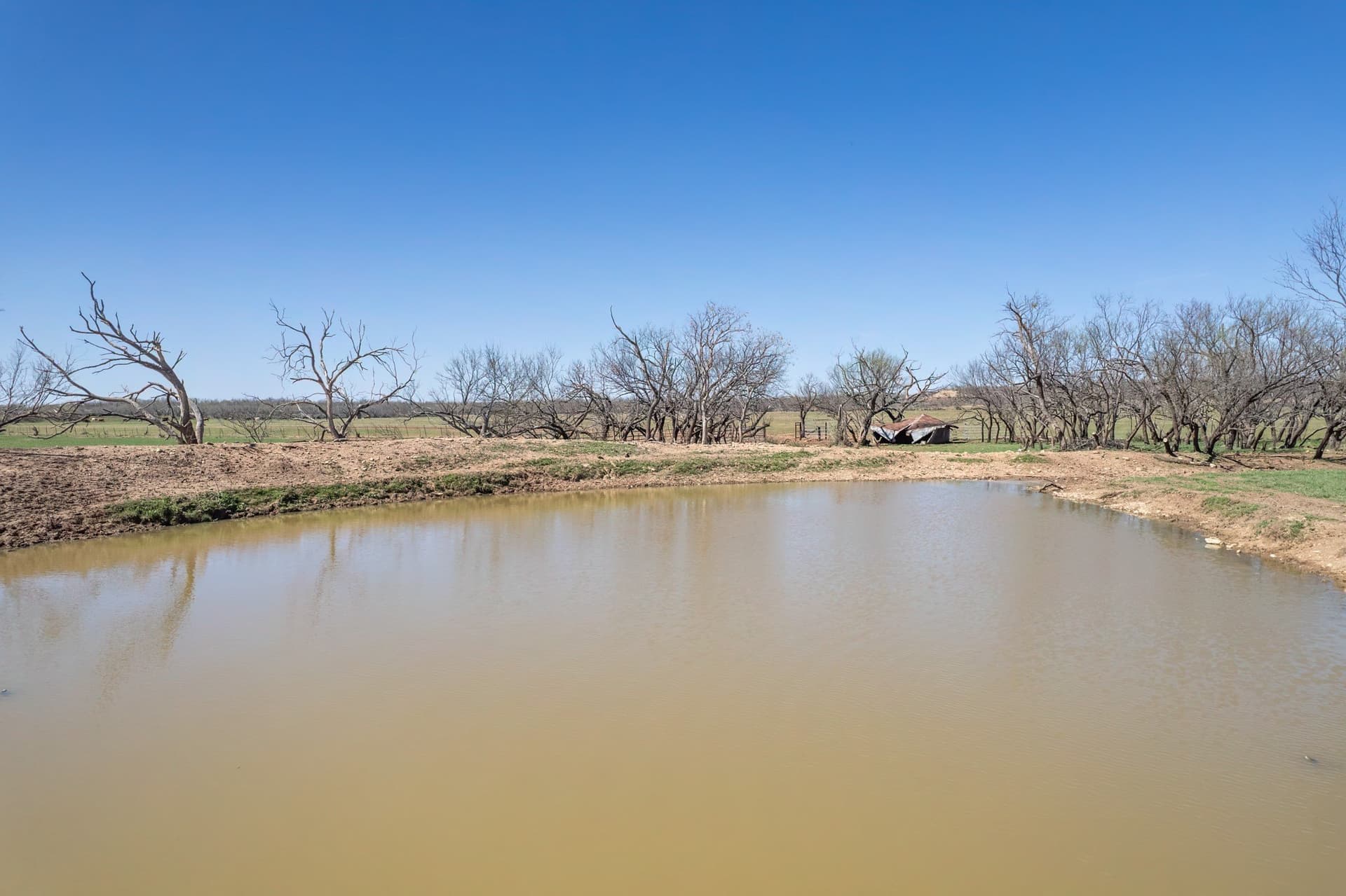 162.5 acres in Coleman County - photo 9