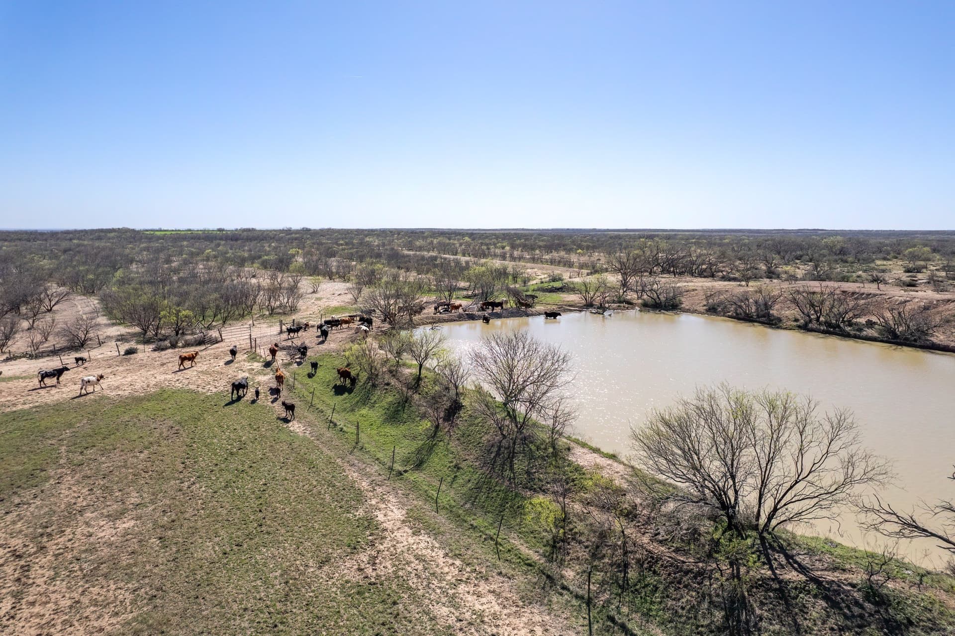 162.5 acres in Coleman County - photo 6