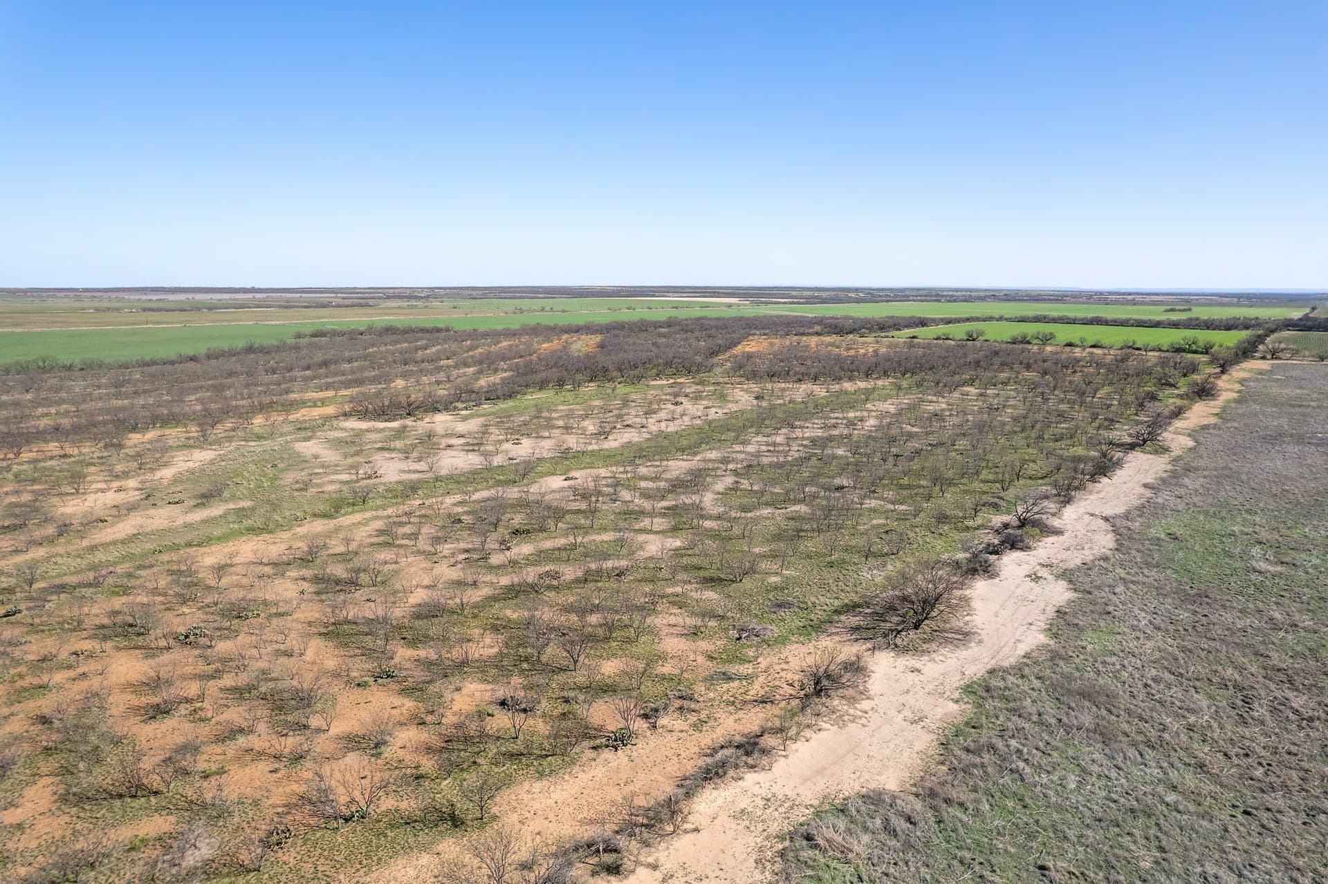 162.5 acres in Coleman County - photo 29