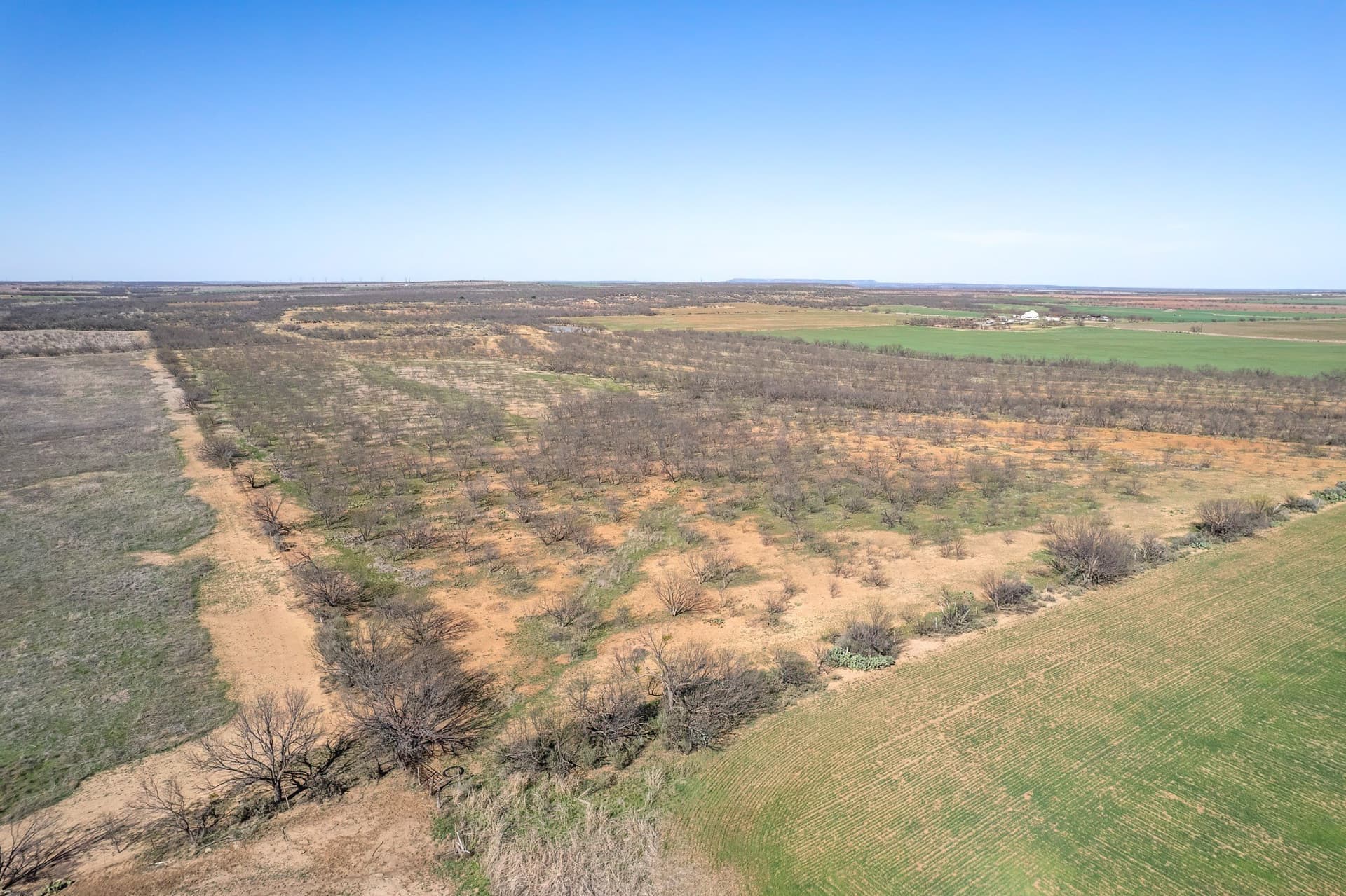 162.5 acres in Coleman County - photo 30