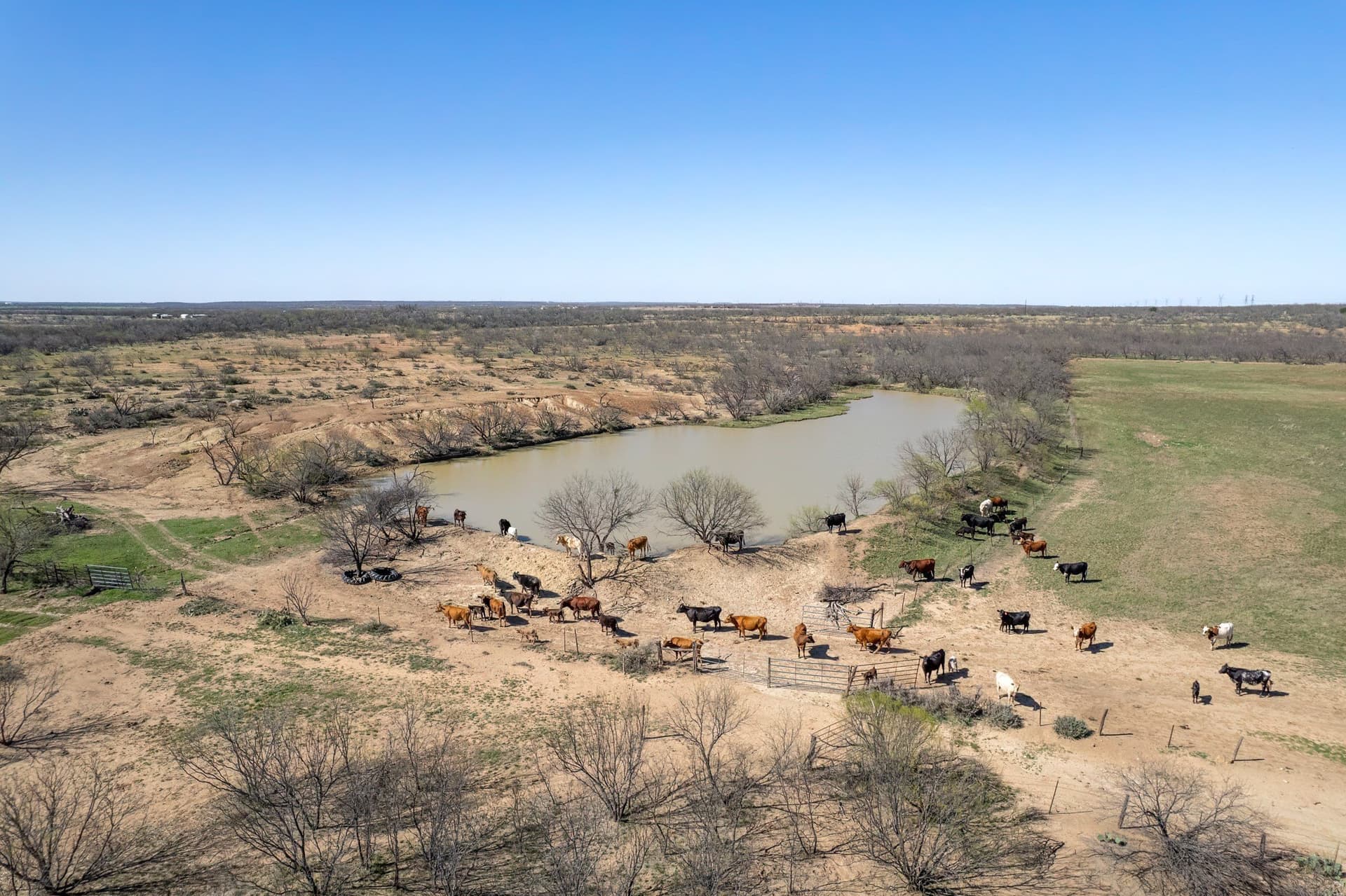 162.5 acres in Coleman County - photo 3