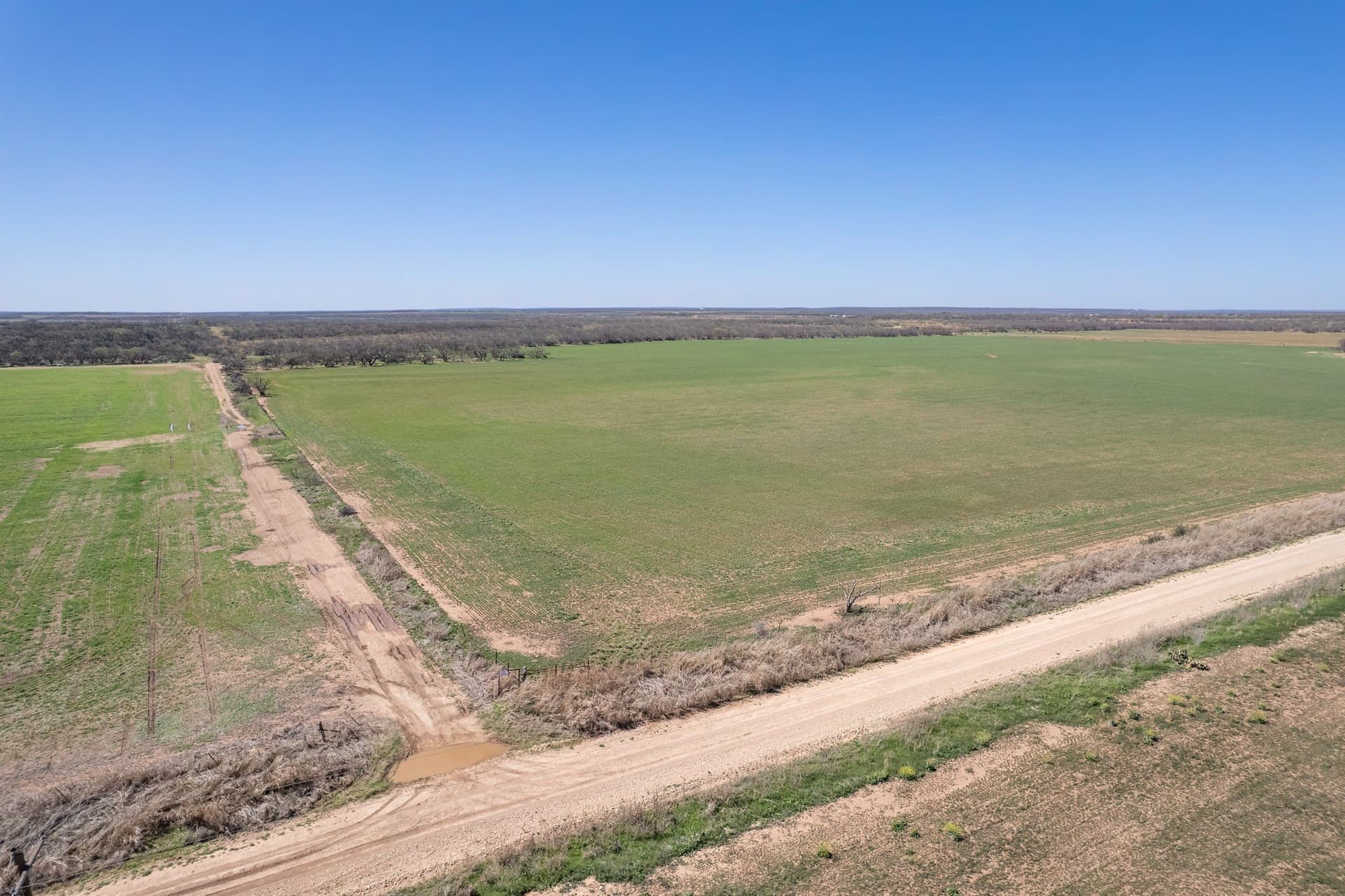 162.5 acres in Coleman County - photo 19