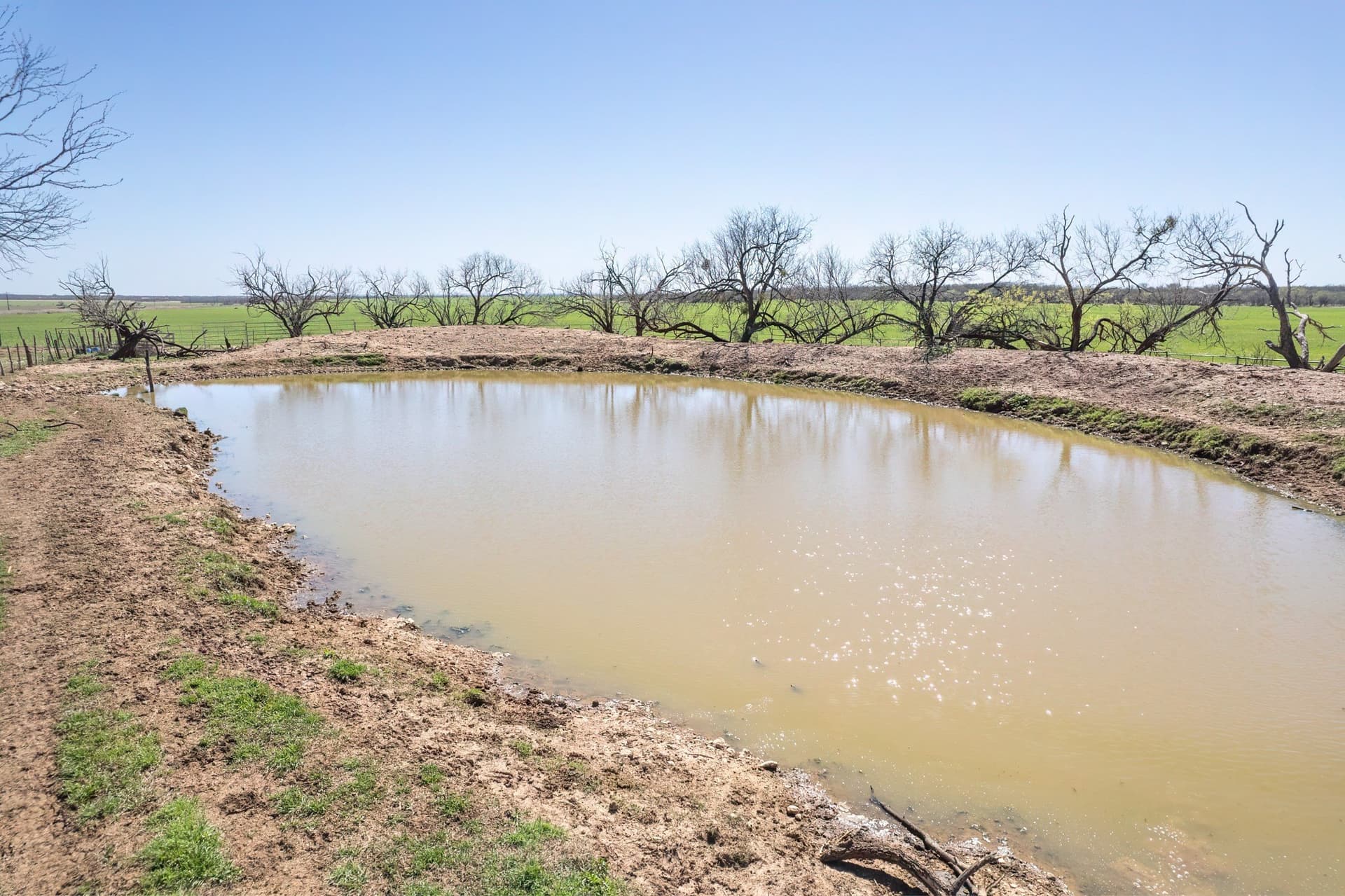 162.5 acres in Coleman County - photo 7