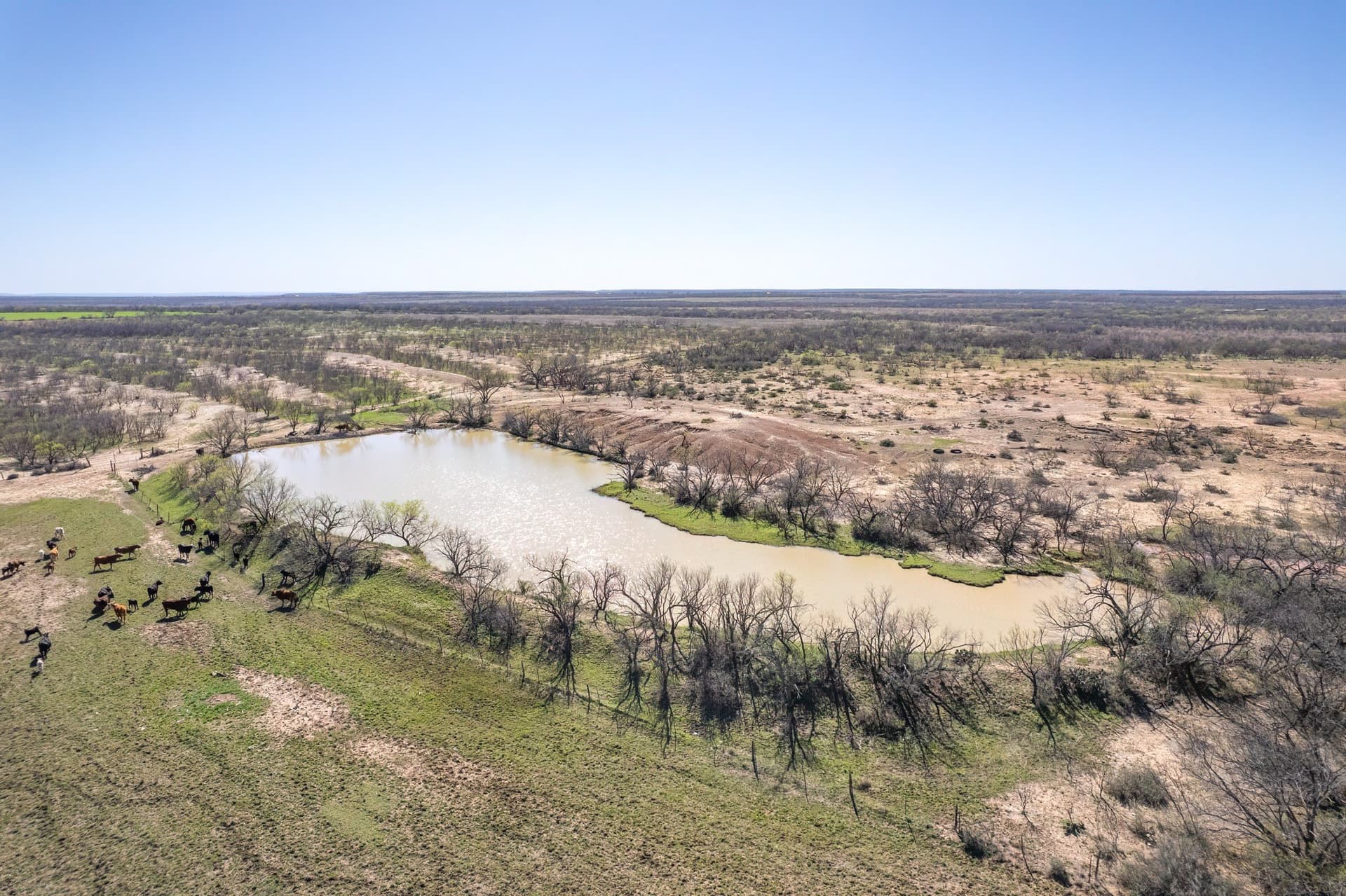 162.5 acres in Coleman County - photo 10