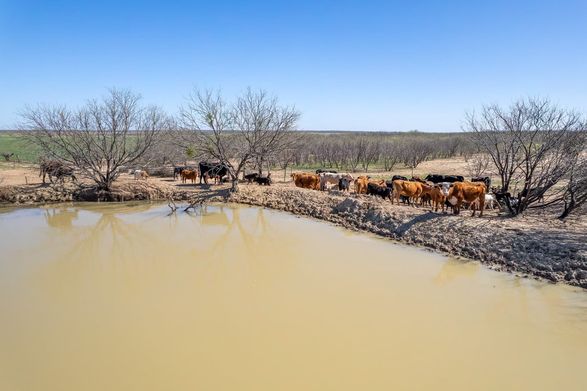 162.5 acres in Coleman County - photo 2