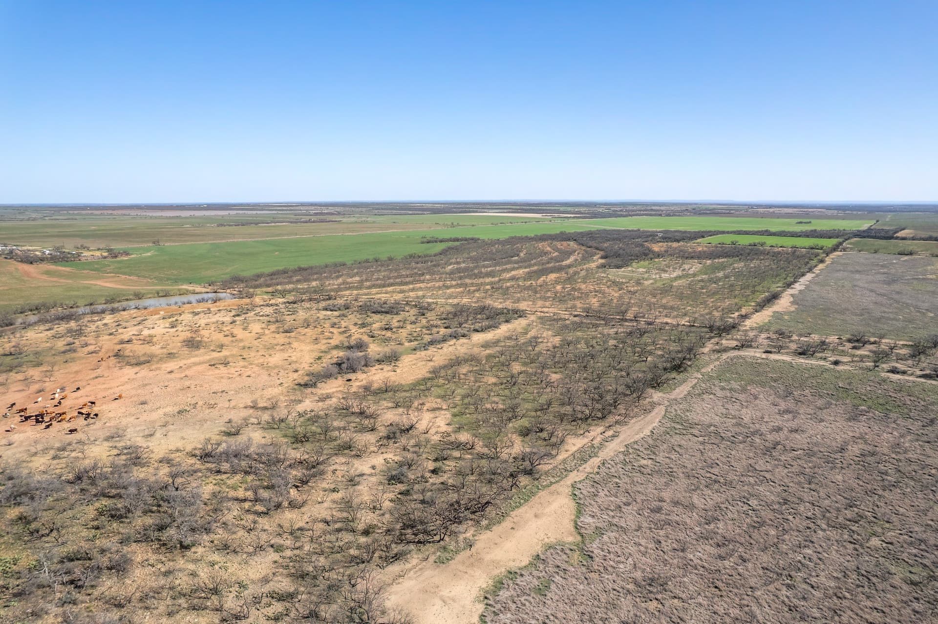 162.5 acres in Coleman County - photo 22