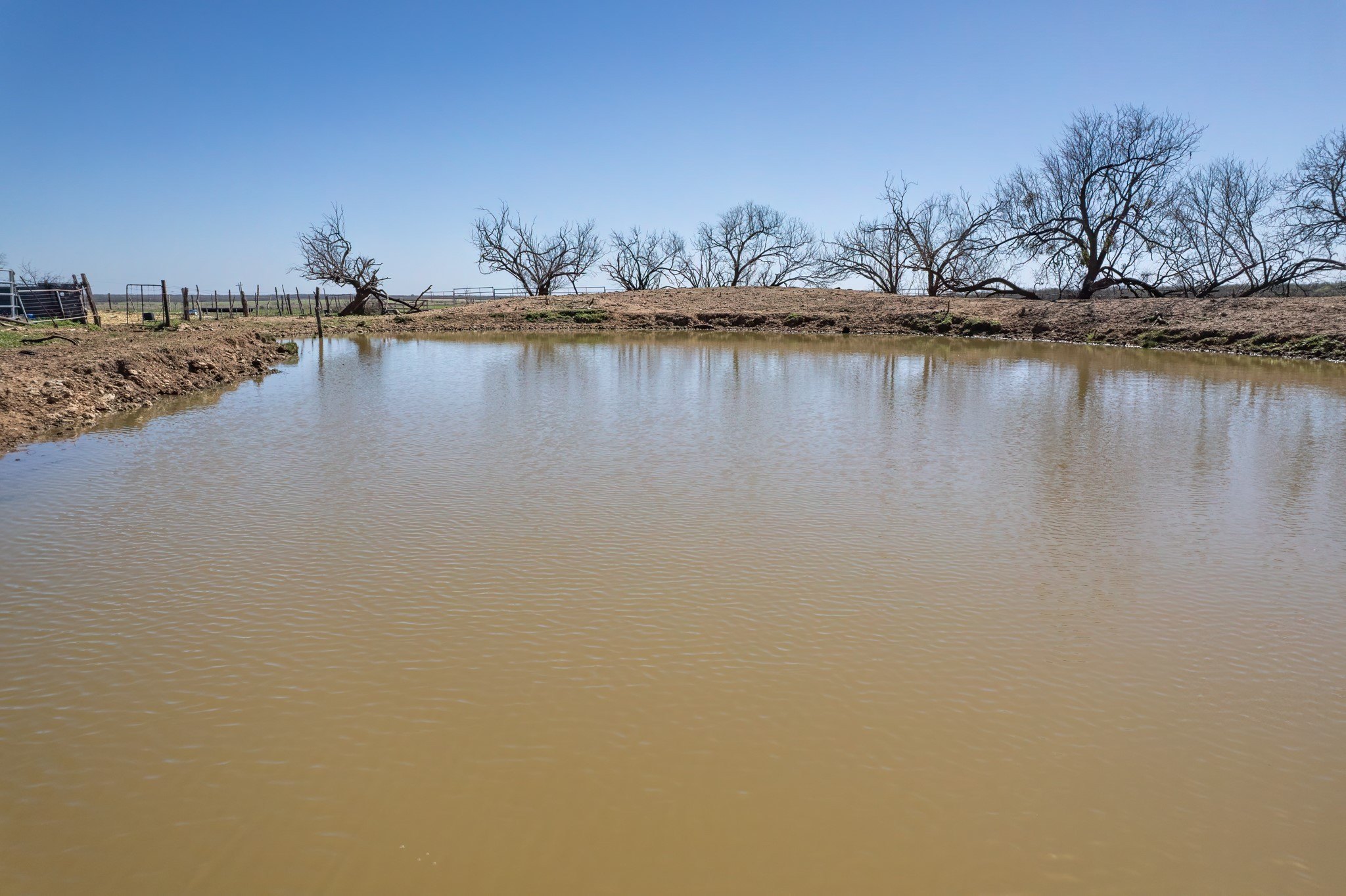 162.5 acres in Coleman County - photo 8