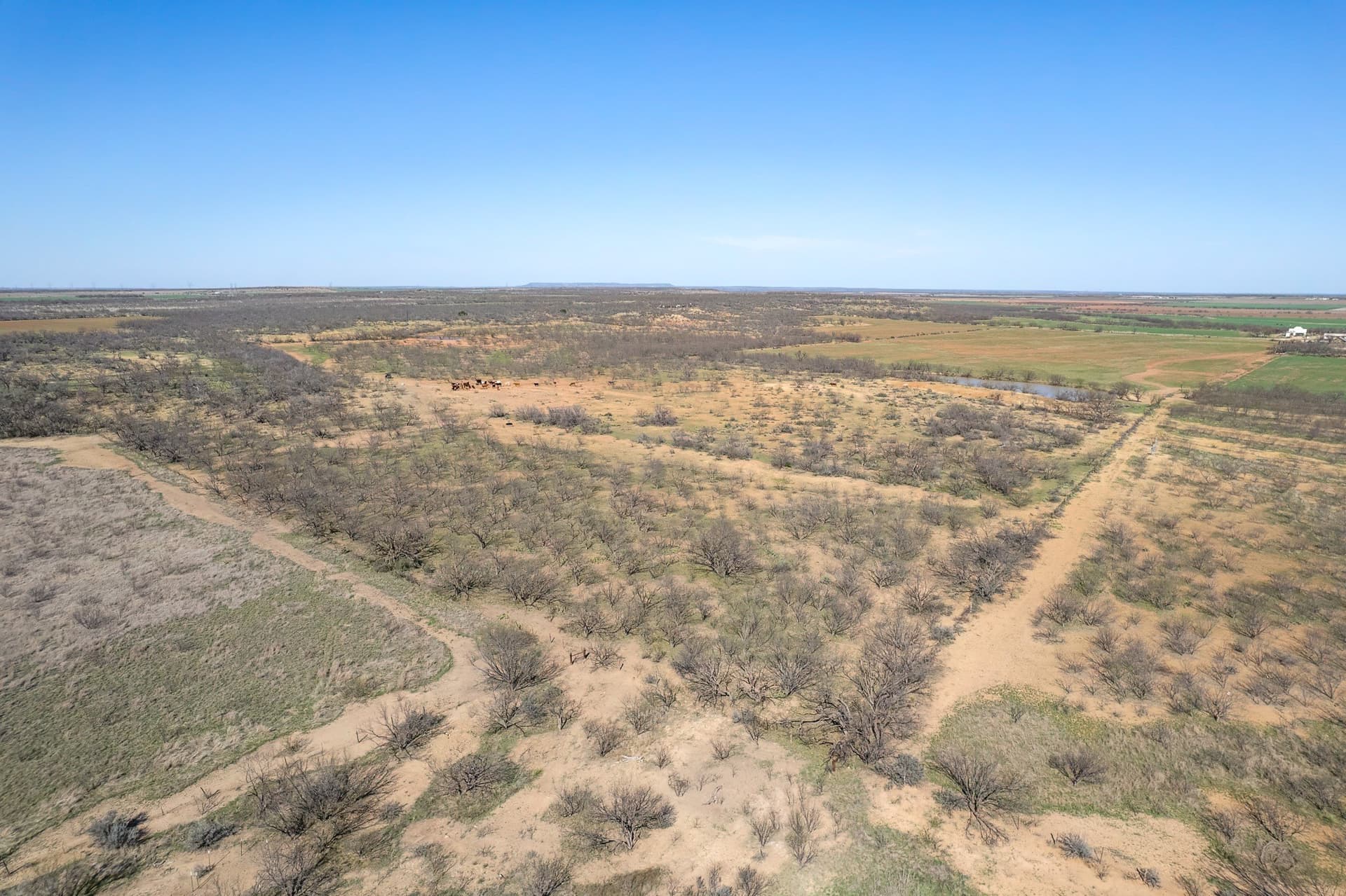 162.5 acres in Coleman County - photo 28