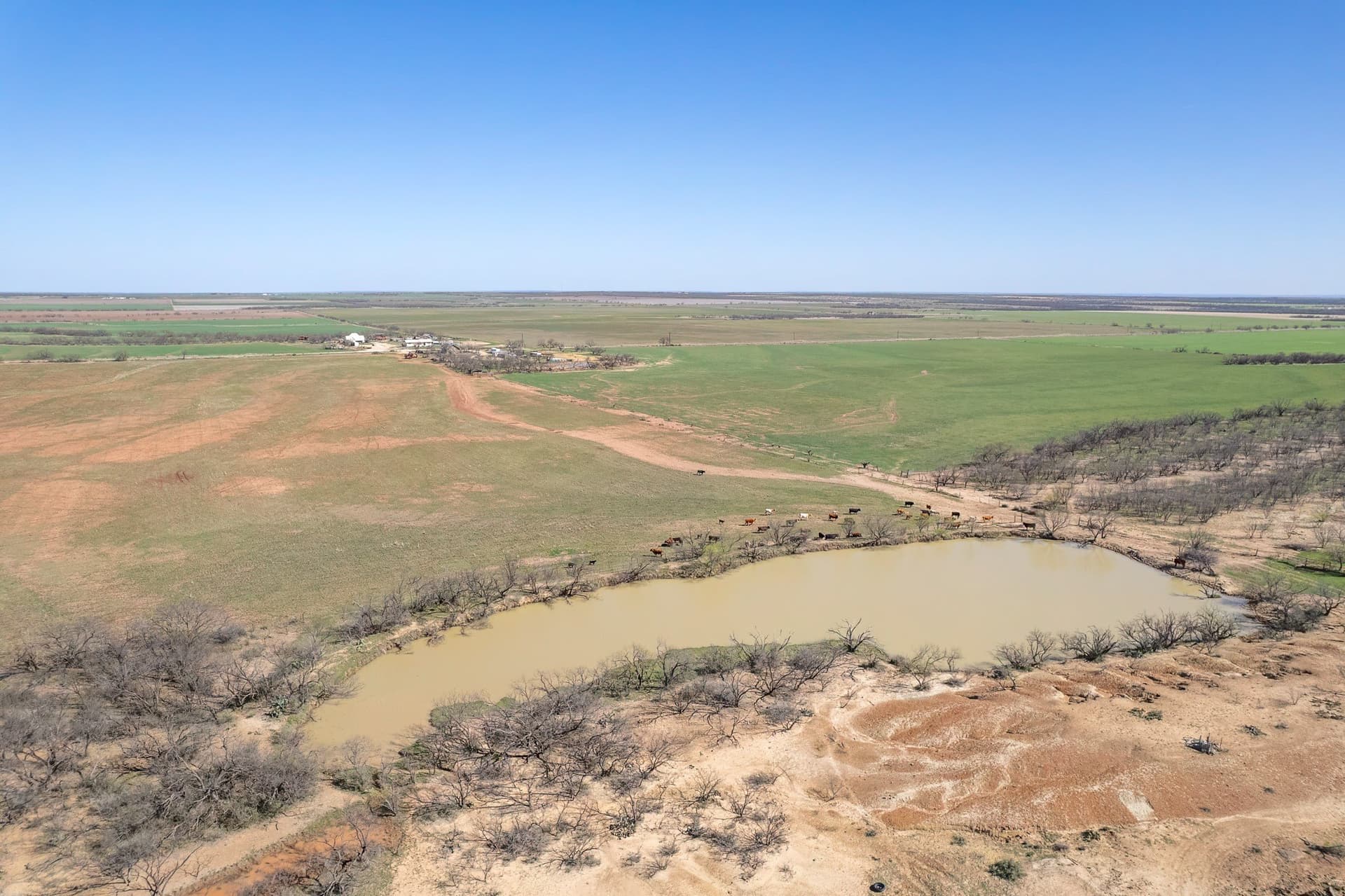 162.5 acres in Coleman County - photo 14