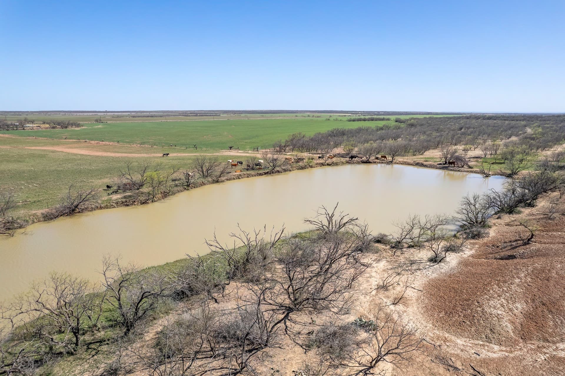 162.5 acres in Coleman County - photo 13
