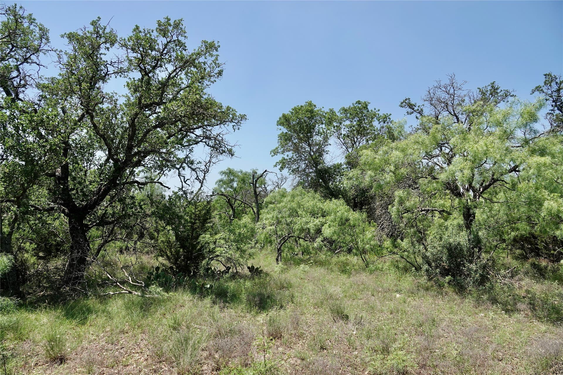 140 acres in Mills County - photo 27
