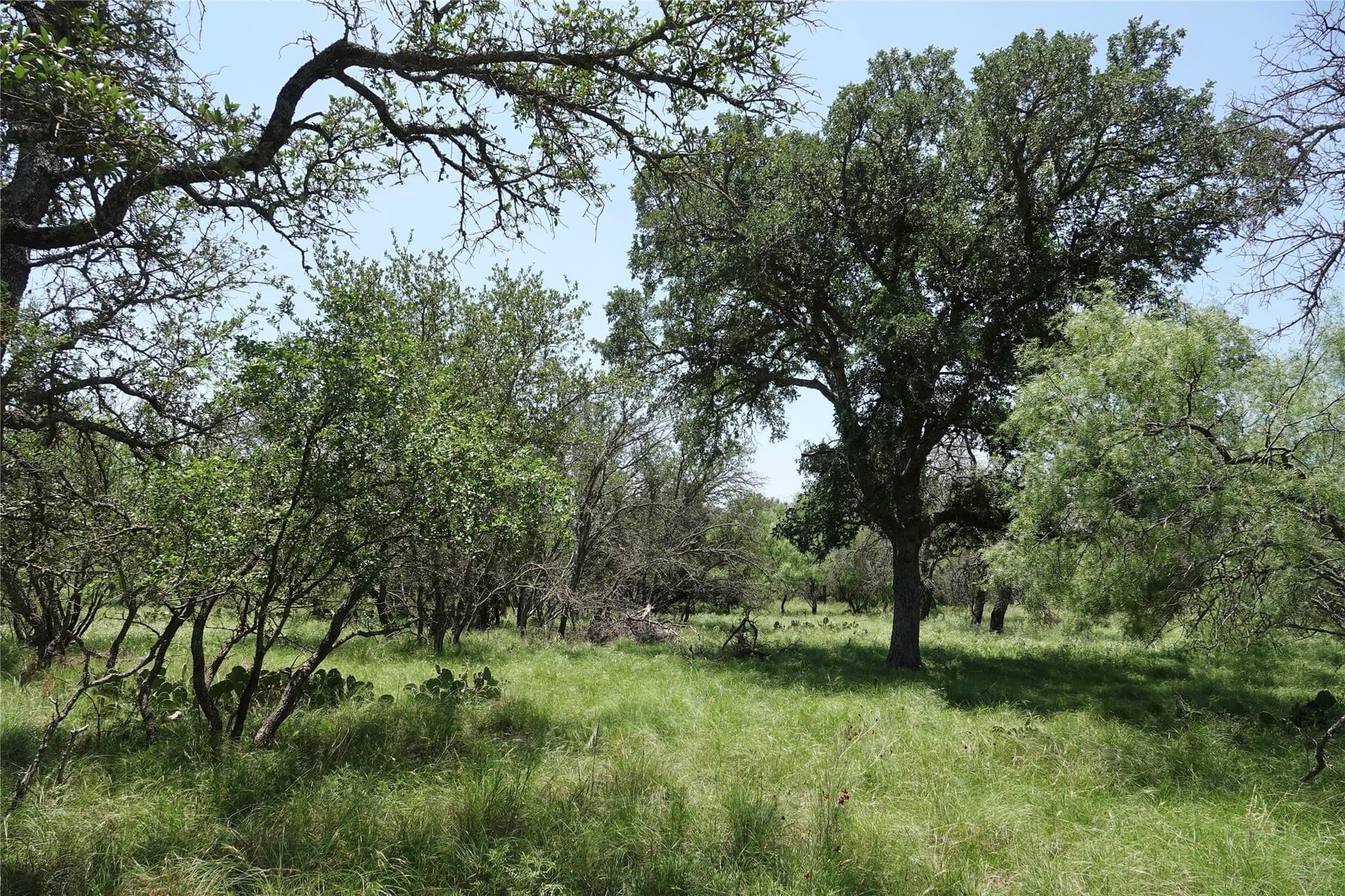 140 acres in Mills County - photo 23