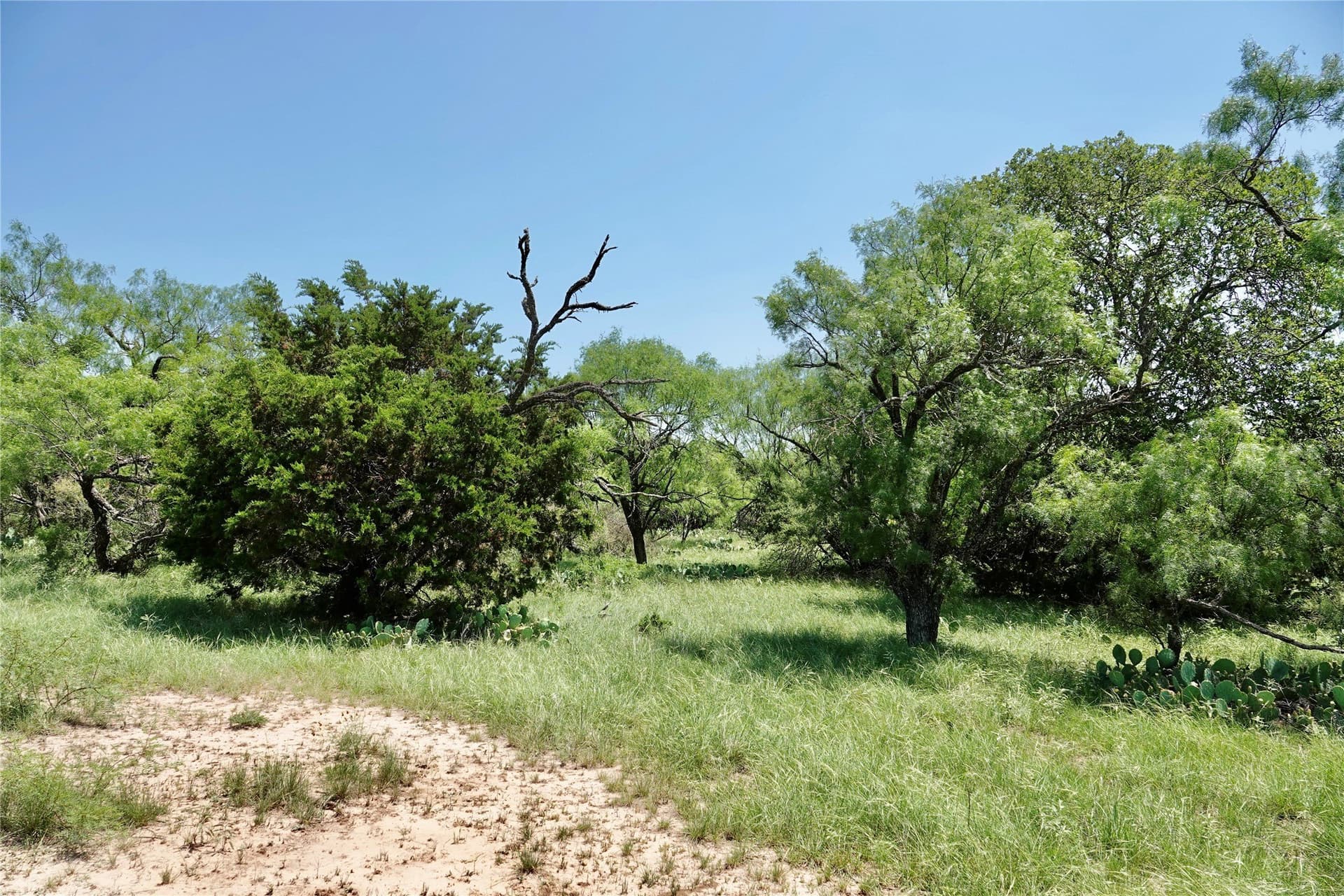140 acres in Mills County - photo 25