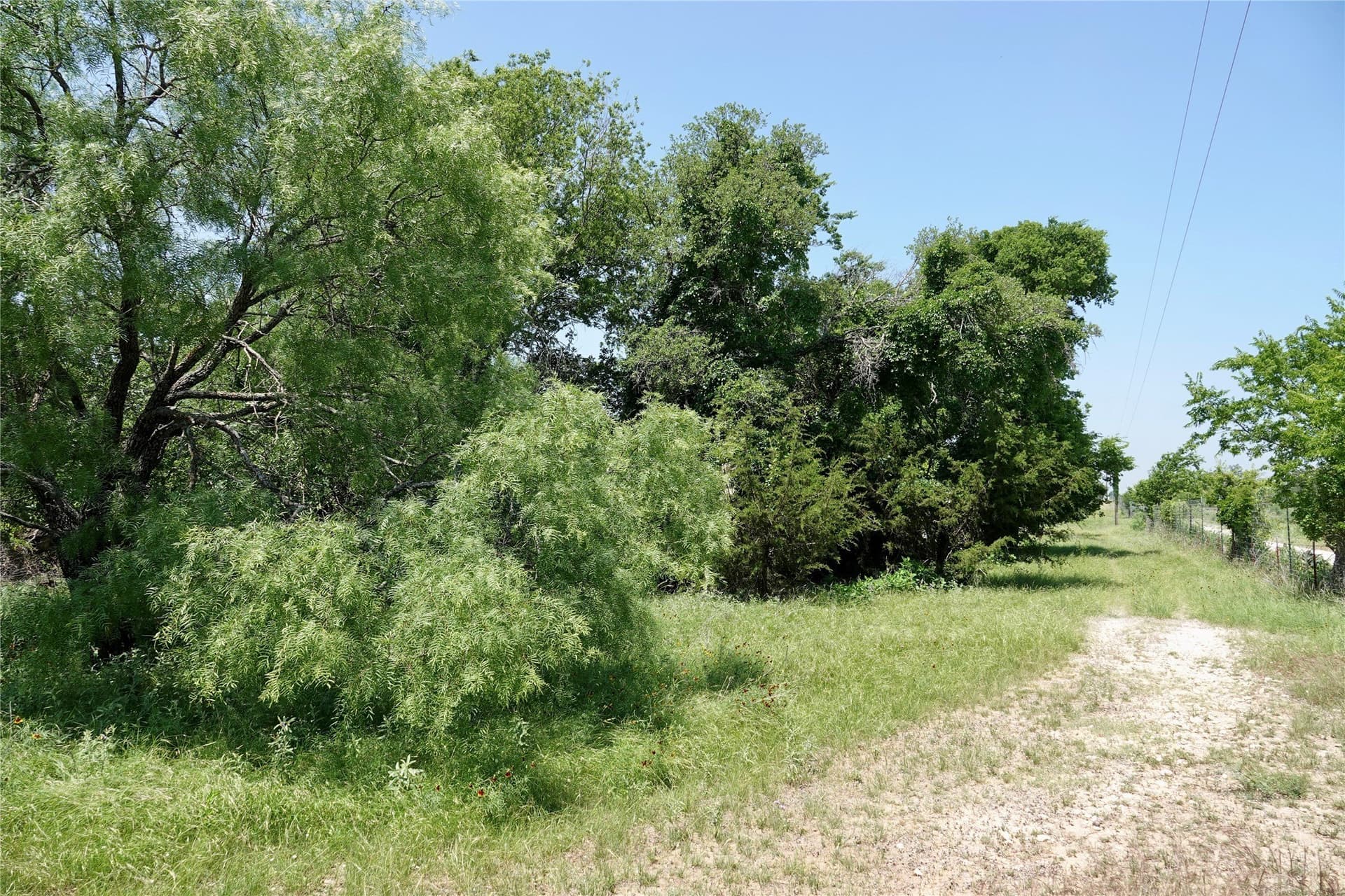 140 acres in Mills County - photo 26