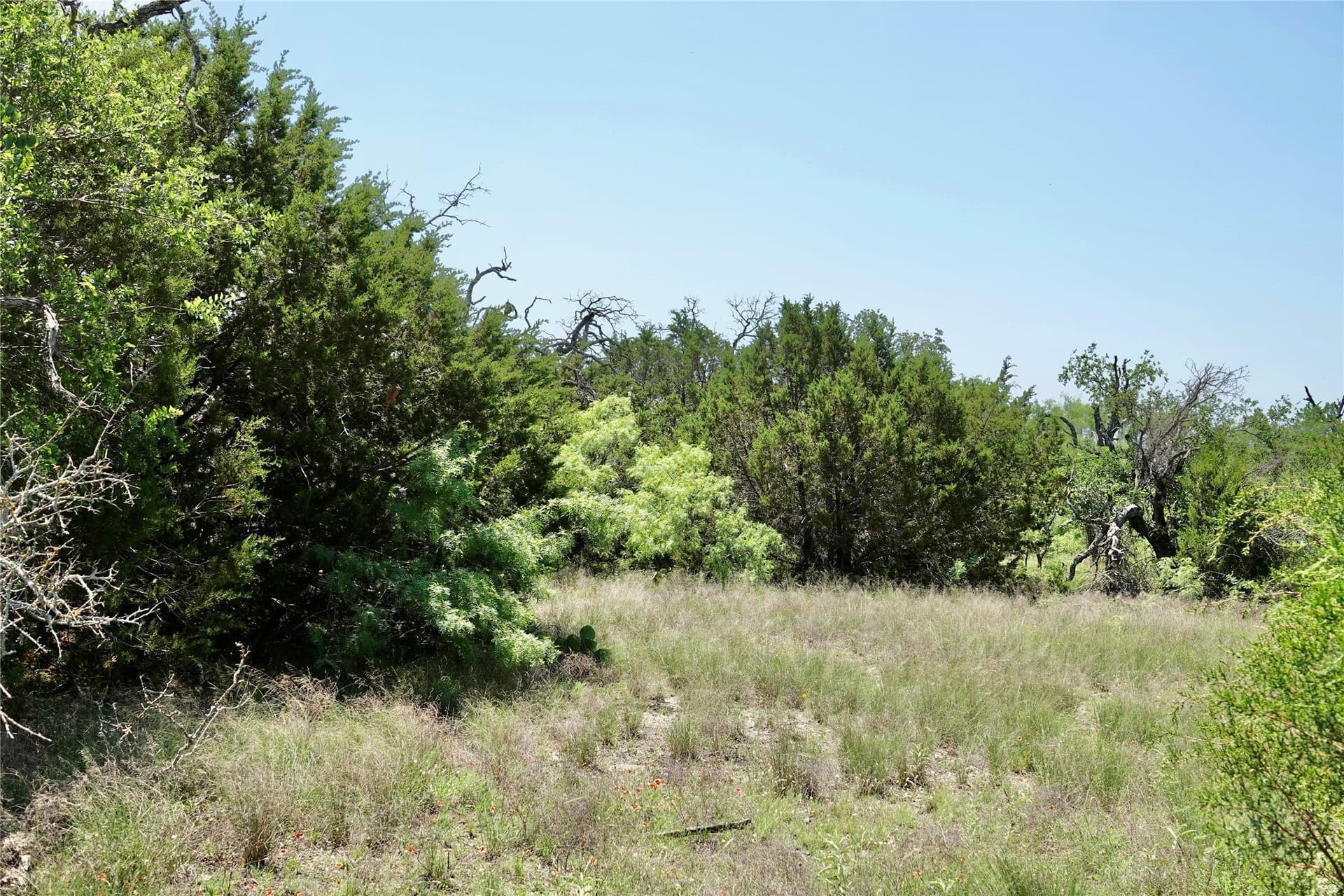 140 acres in Mills County - photo 28