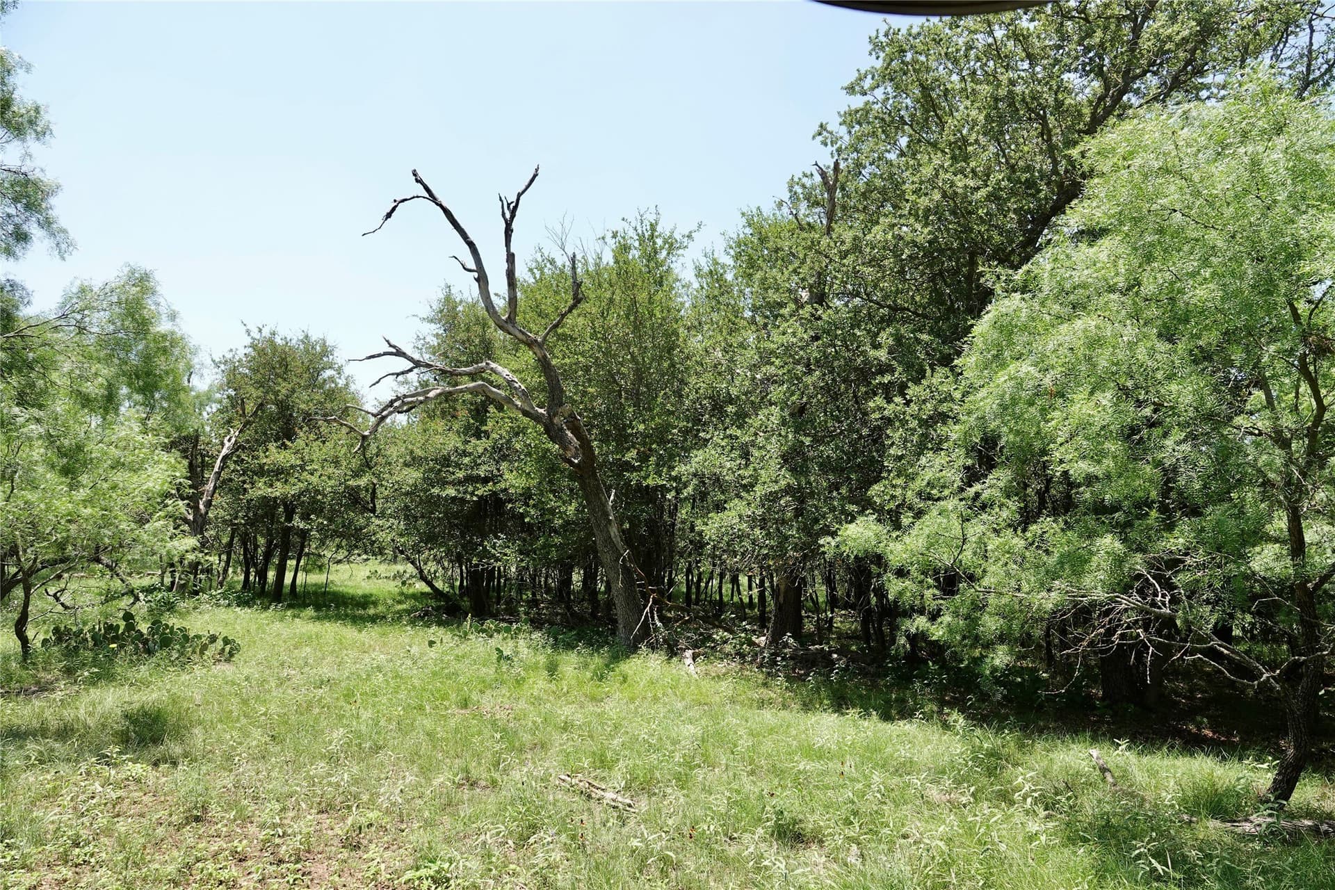140 acres in Mills County - photo 24