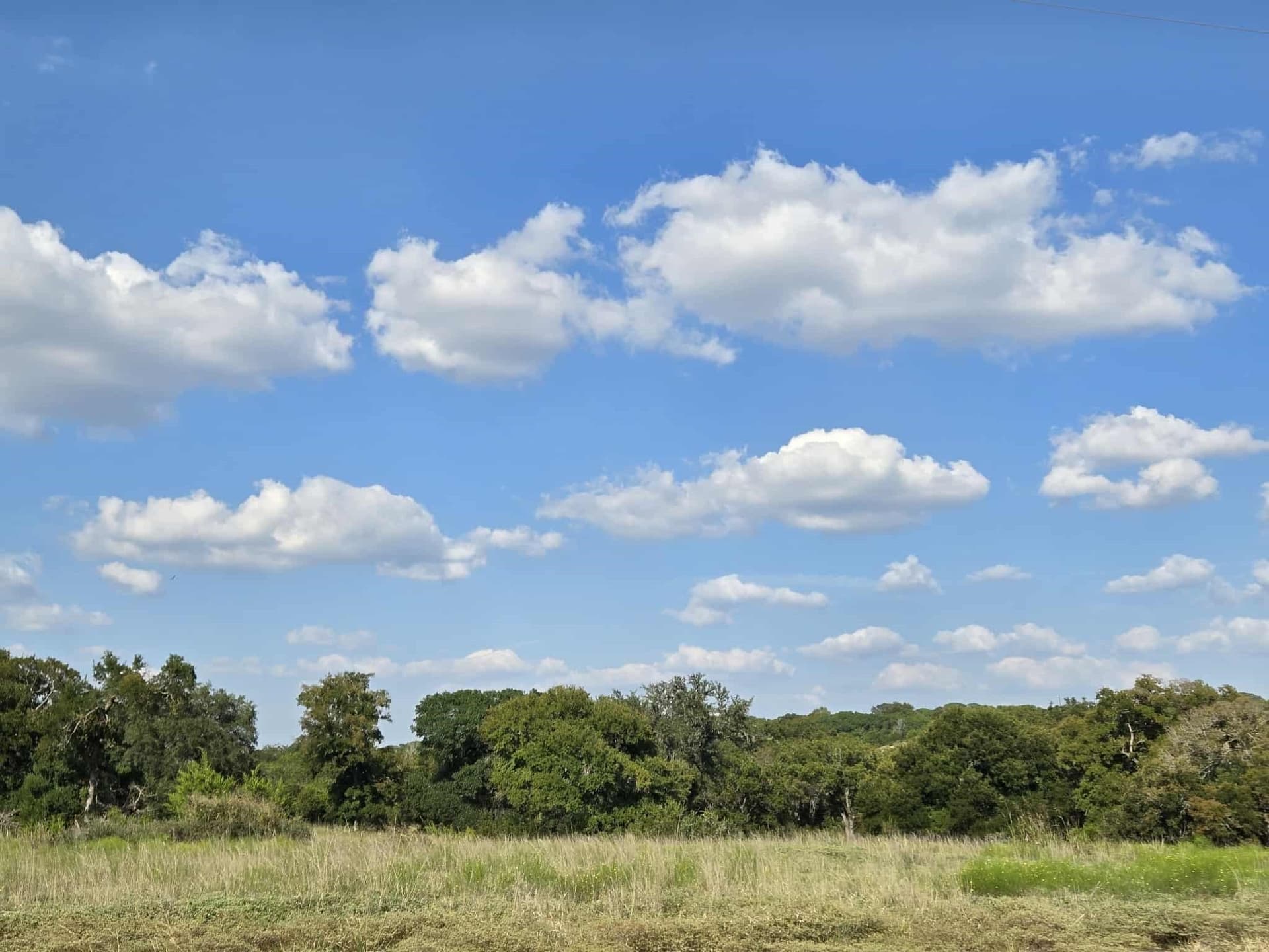 5 acres in Coryell County - photo 4
