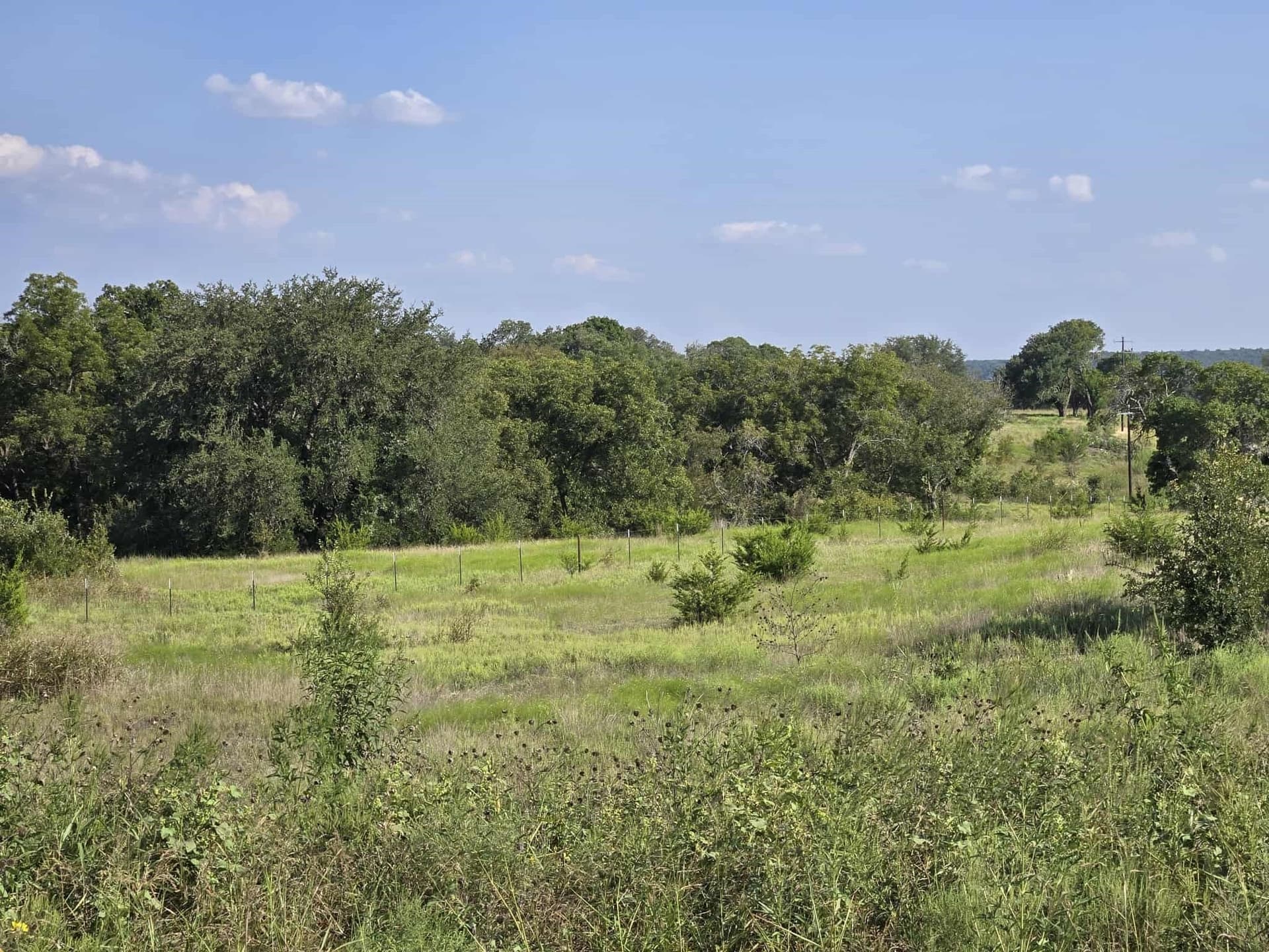 5 acres in Coryell County - photo 3