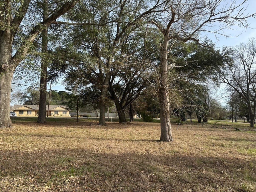 0.73 acres in Texas County - photo 8