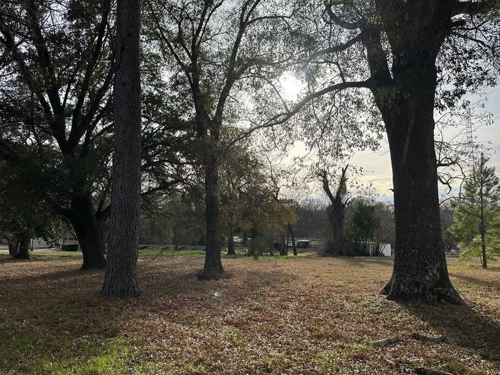 0.73 acres in Texas County - photo 6