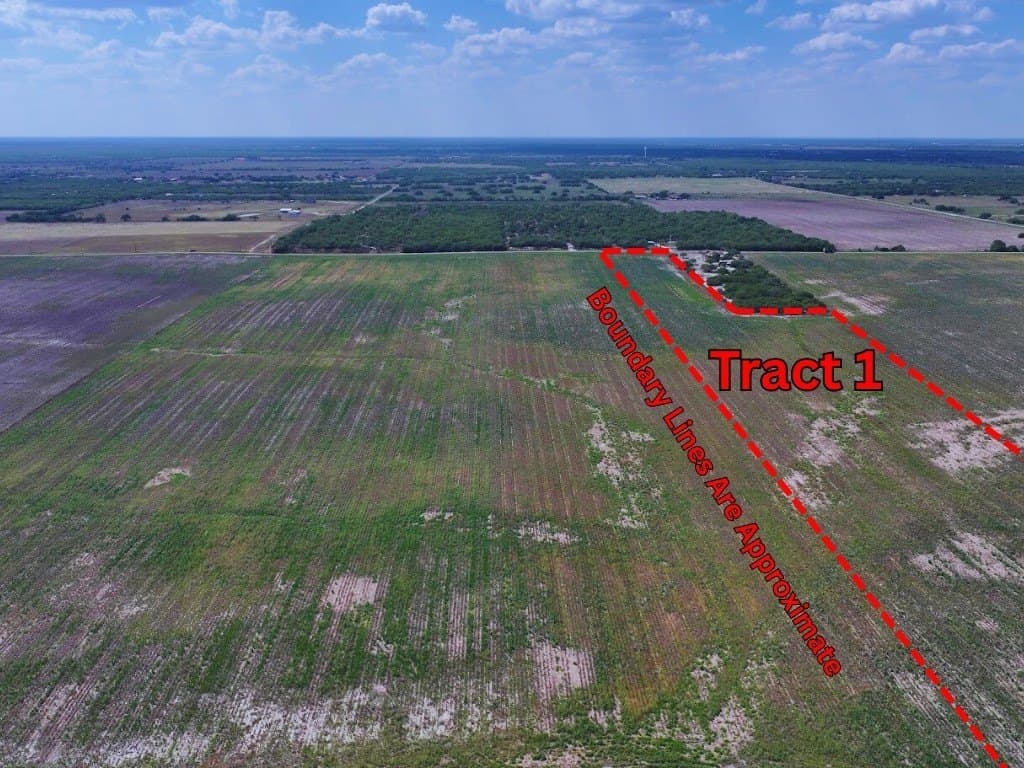 13 acres in Kleberg County gallery image 2