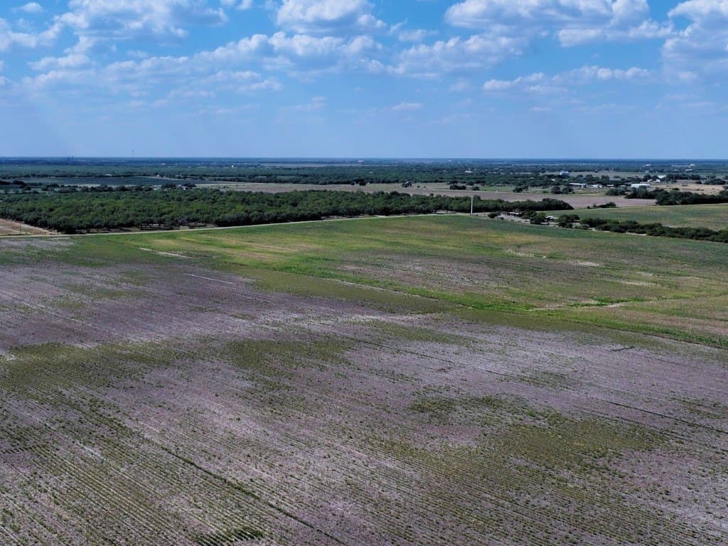 13 acres in Kleberg County gallery image 4