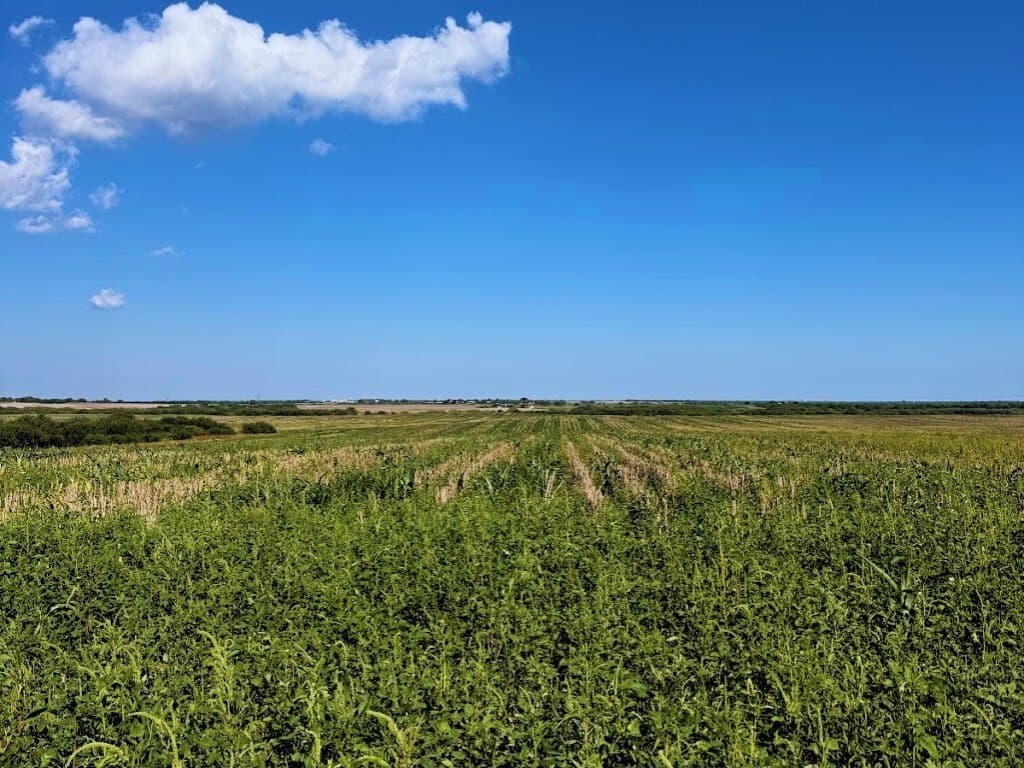 13 acres in Kleberg County - photo 9