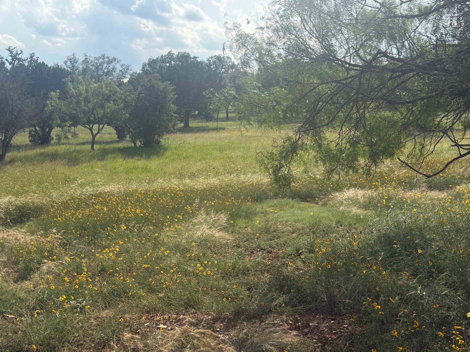 0.12 acres in Llano County gallery image 3
