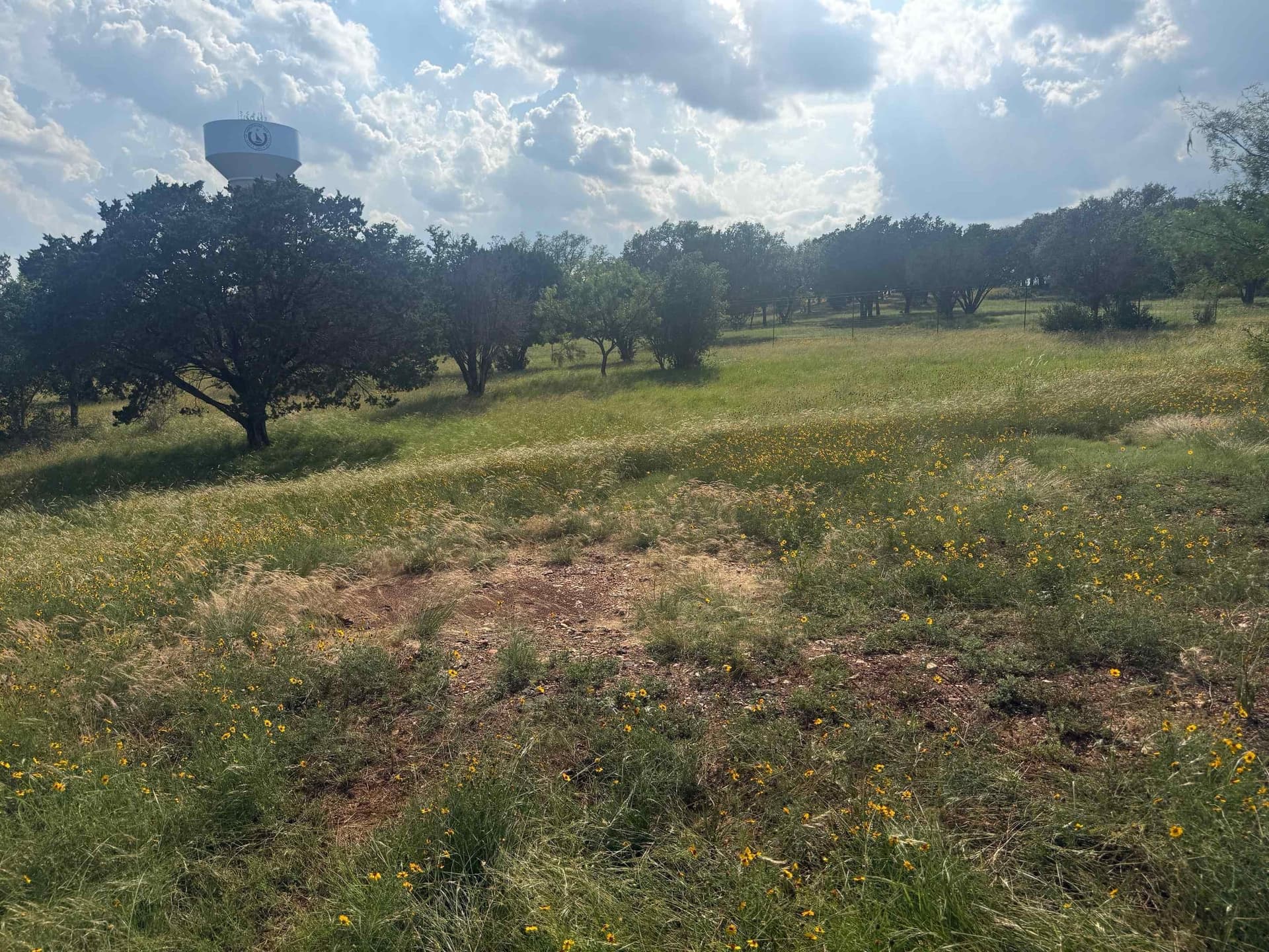 0.12 acres in Llano County gallery image 2