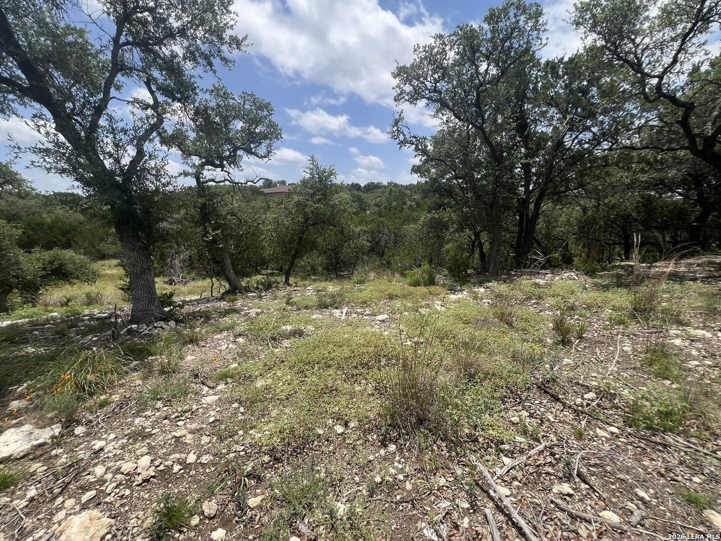 0.51 acres in Comal County gallery image 4