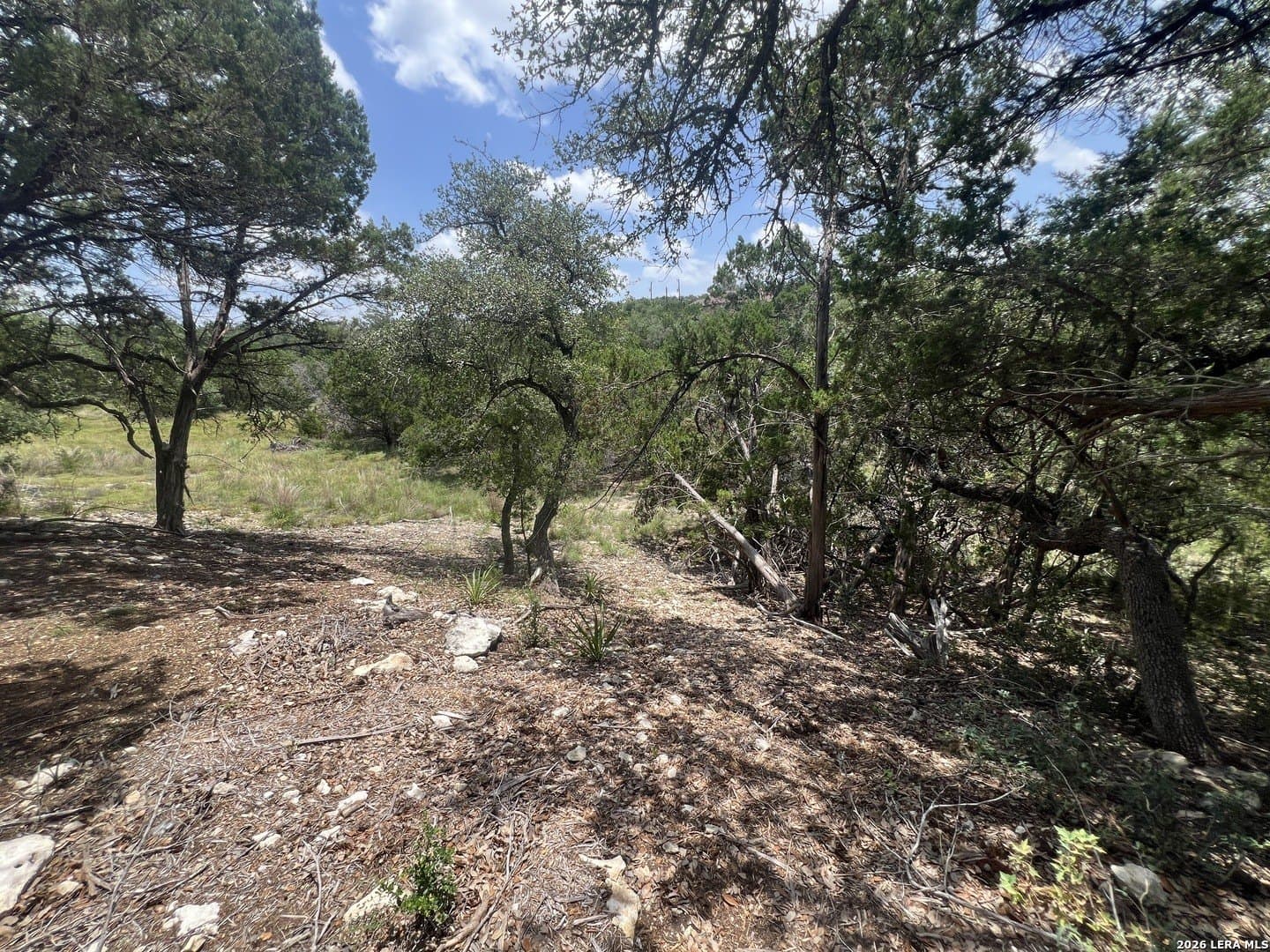0.51 acres in Comal County - photo 9