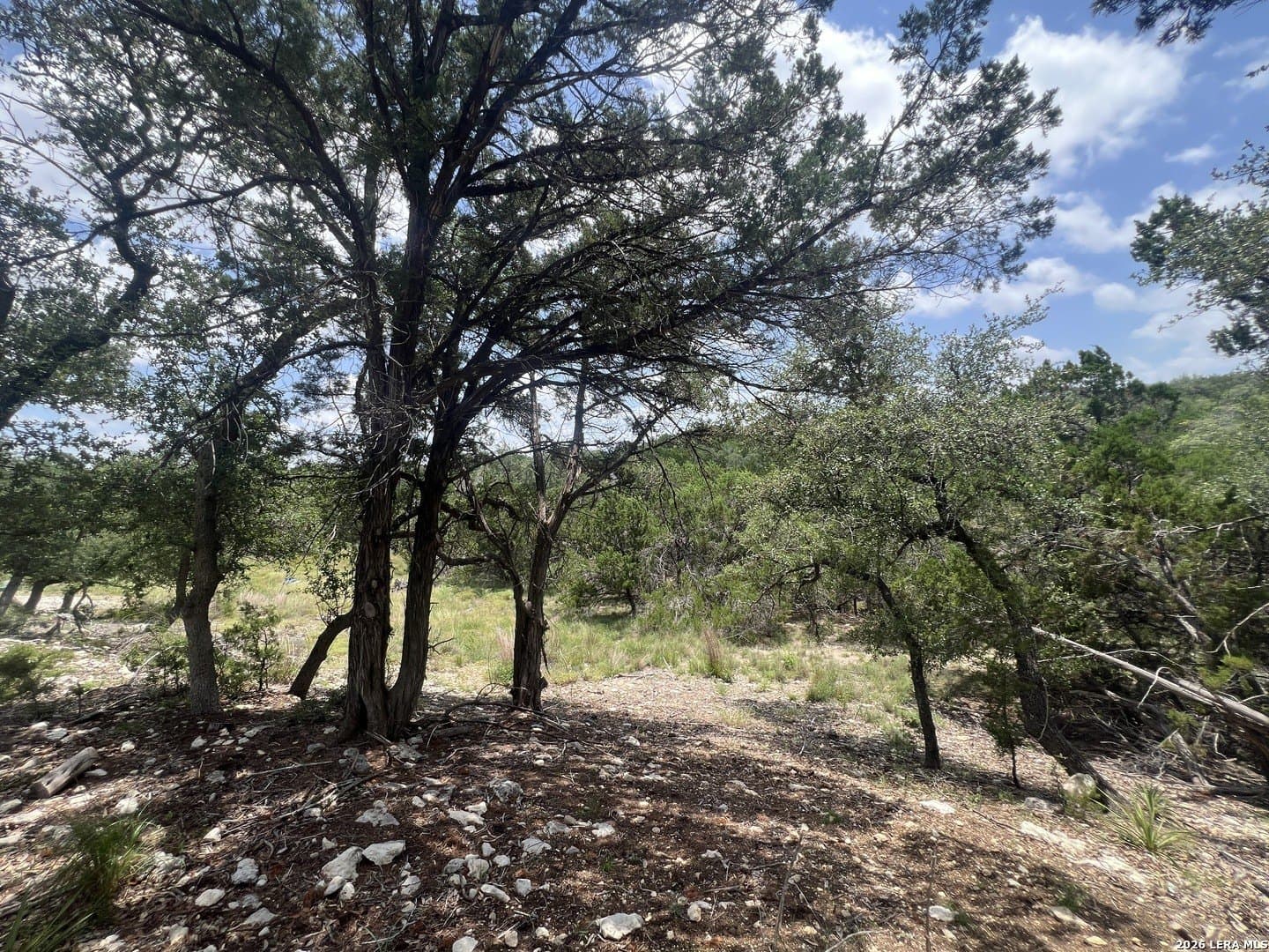 0.51 acres in Comal County gallery image 3